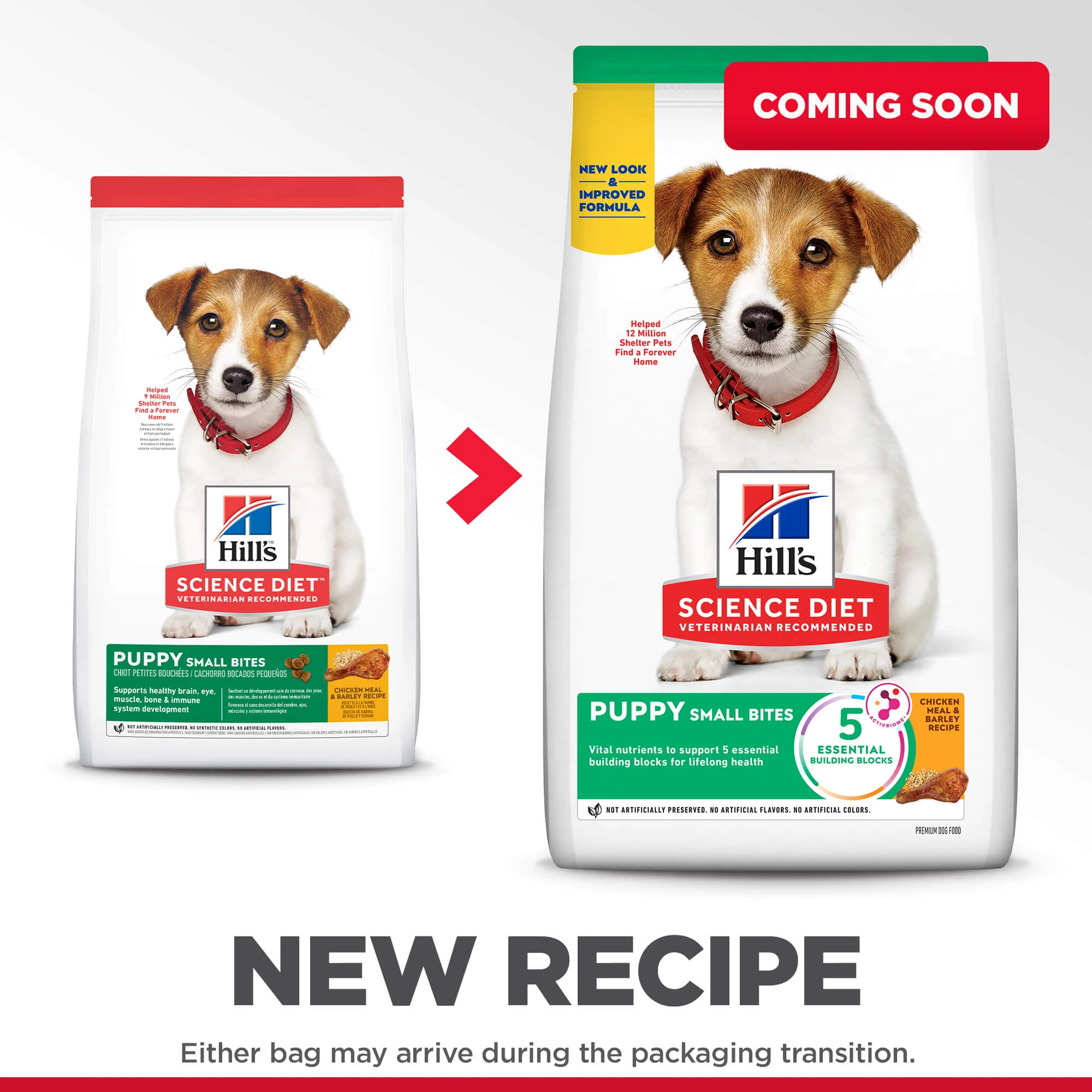 Hill's Science Diet Small Bites Puppy Dry Dog Food - Image 3