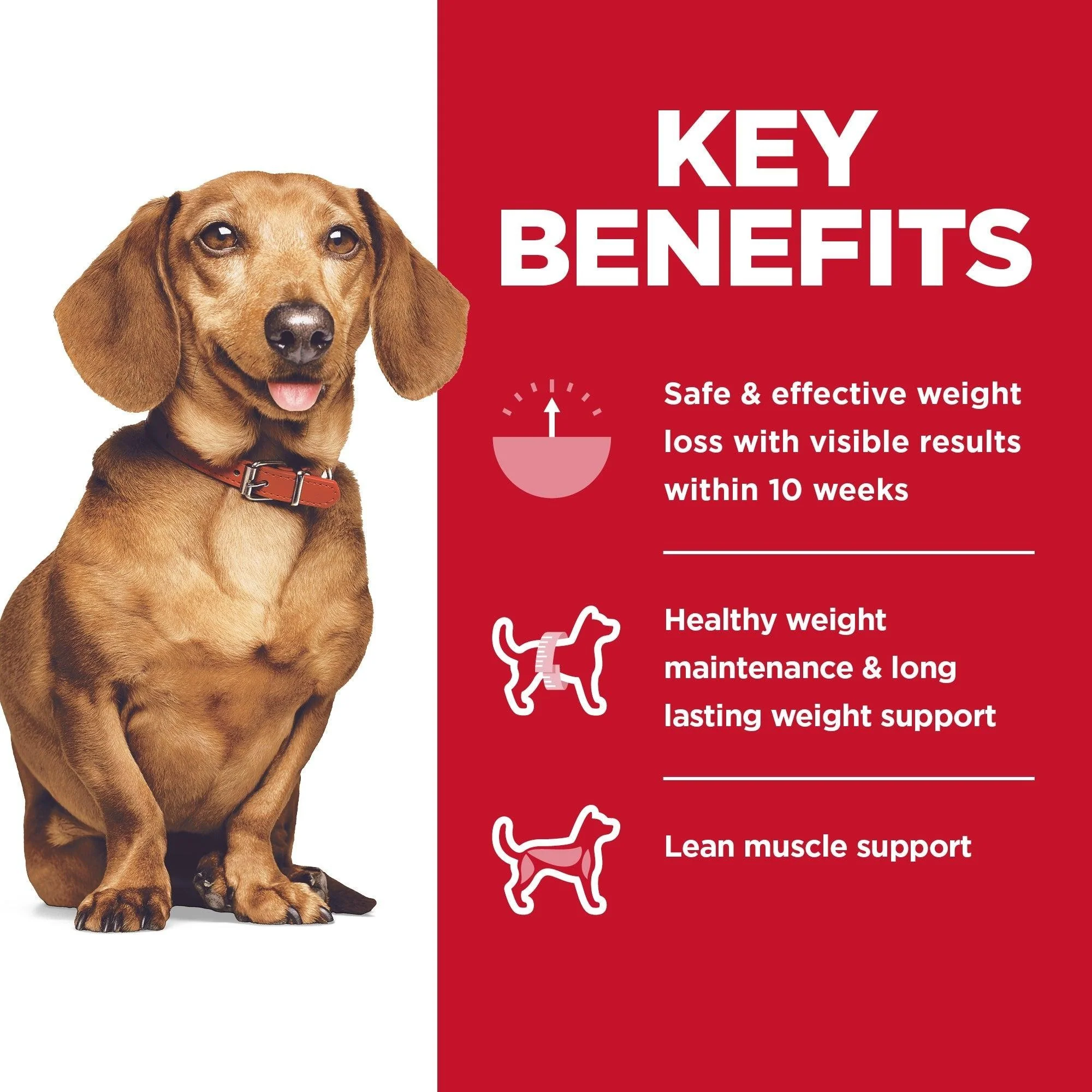 Hill's Science Diet Small & Mini Breed Perfect Weight Adult Chicken Dry Dog Food - Image 8