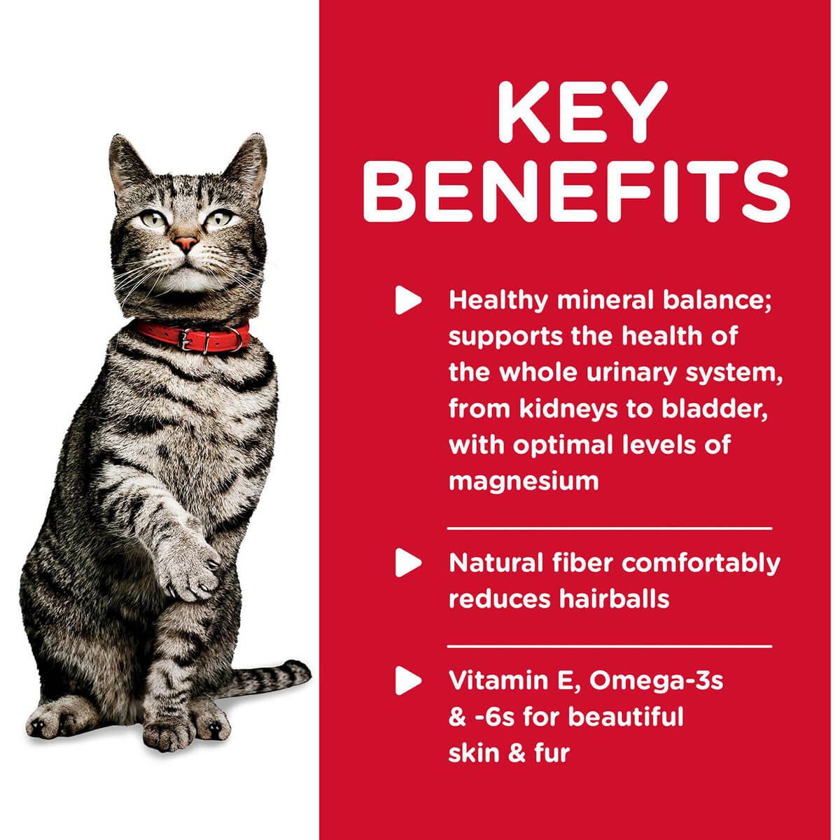 Hill's Science Diet Urinary Hairball Control Adult Chicken Wet Cat Food - Image 3