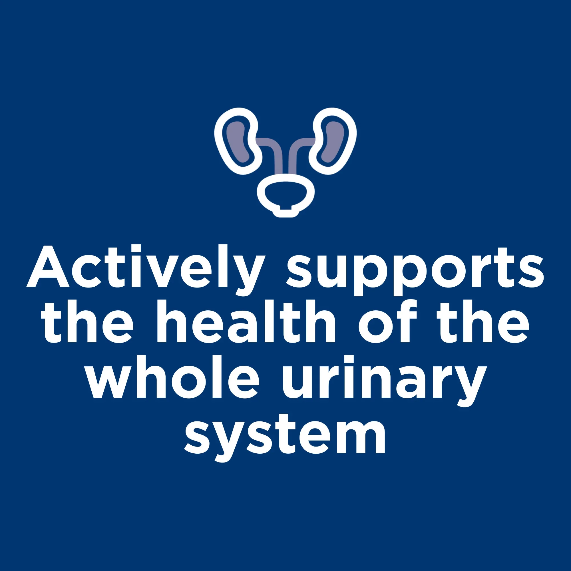 Hill's Science Diet Urinary Hairball Control Adult Chicken Wet Cat Food - Image 7