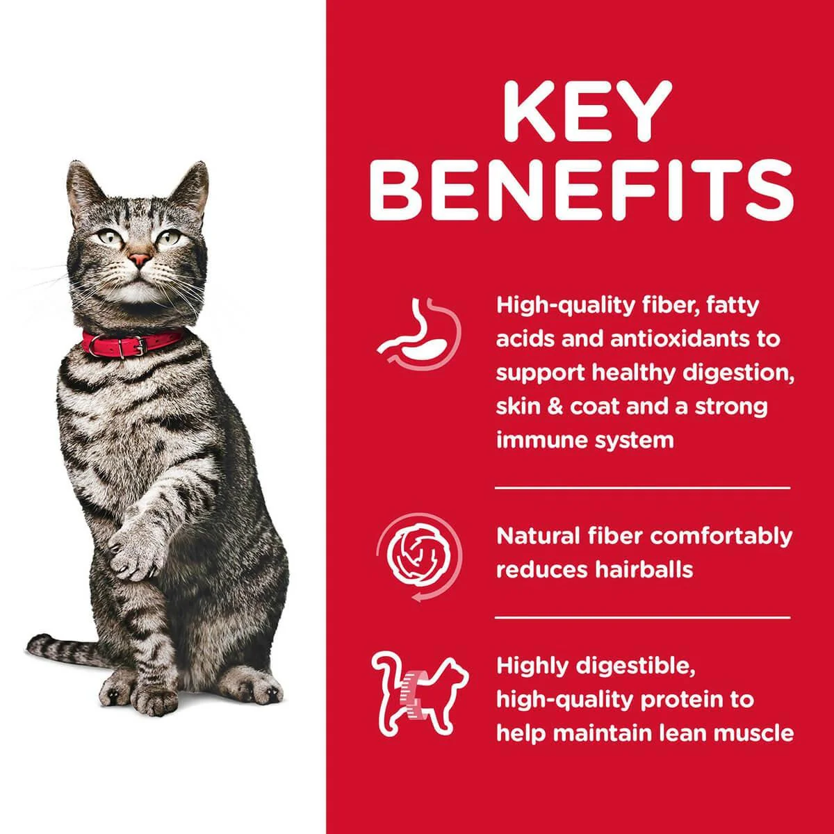 Hill's Science Diet Urinary Hairball Control Adult Dry Cat Food - Image 6