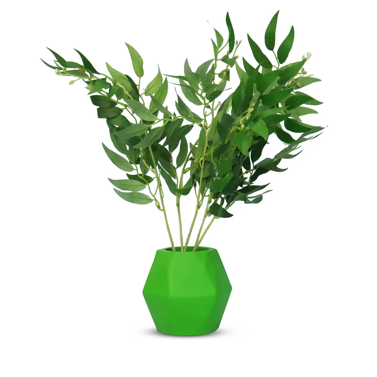 Insectimo Insect Branch Jar - Image 8