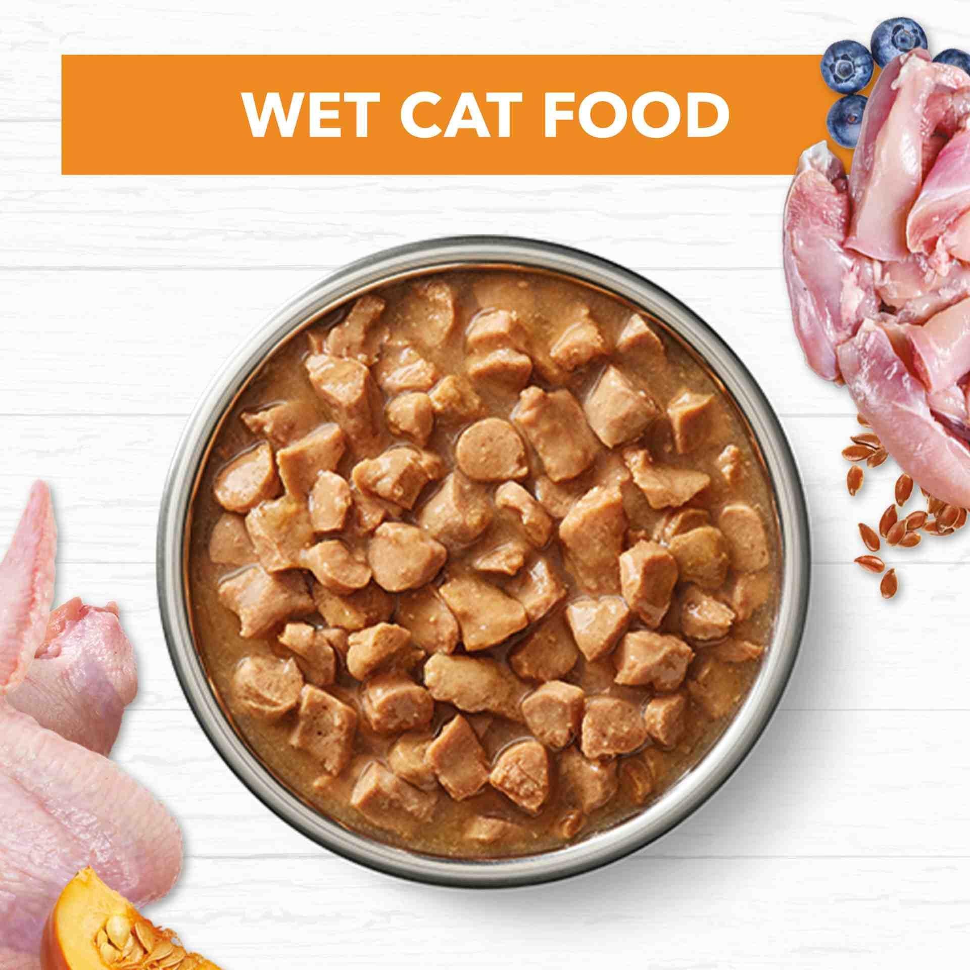 Ivory Coat Grain Free Adult Wet Cat Food Chicken in Gravy - Image 14
