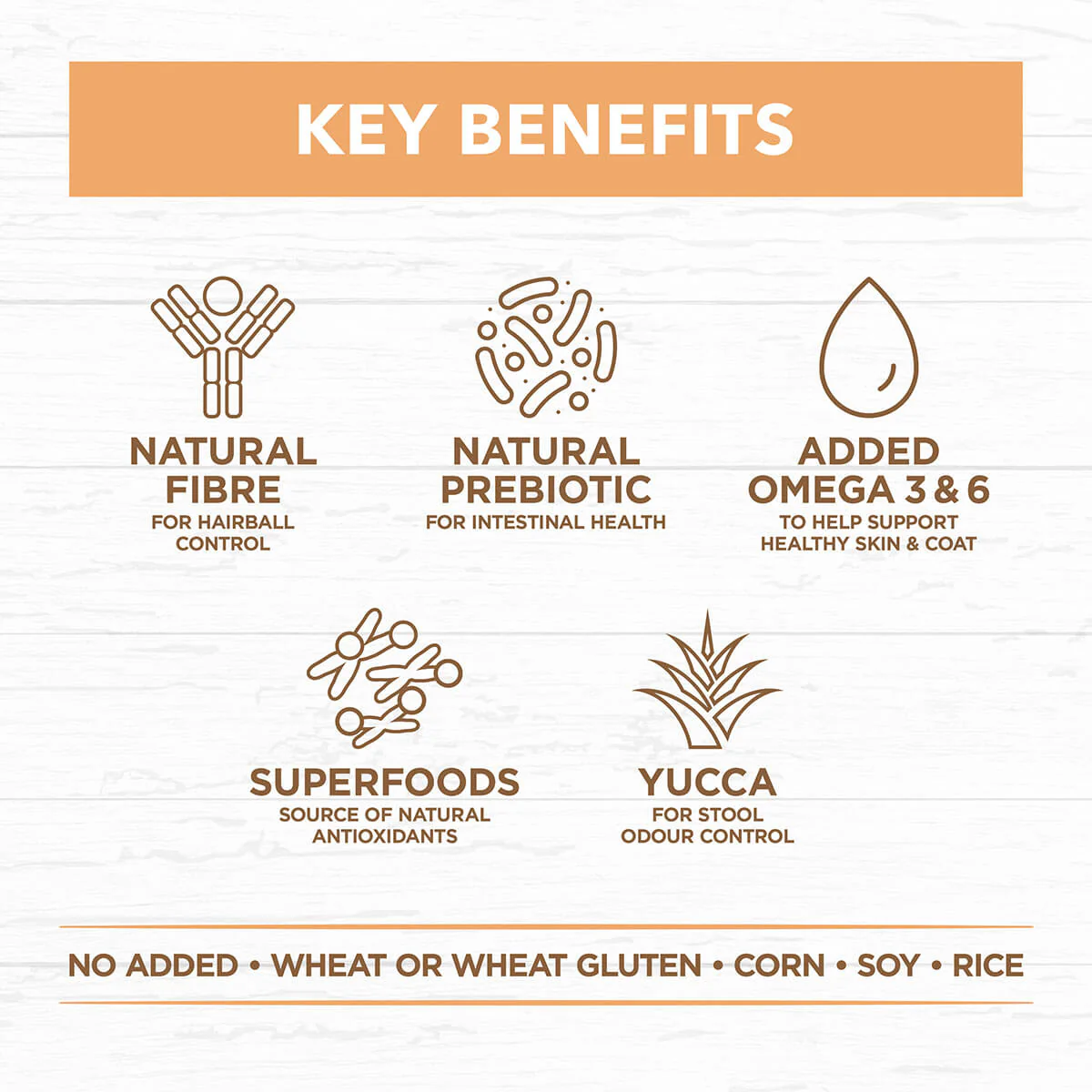 Ivory Coat Grain Free Kitten Chicken Dry Cat Food - Image 7