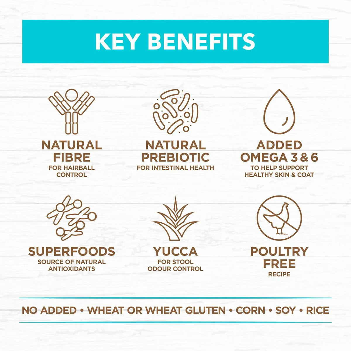 Ivory Coat Grain Free Dry Kitten Food Ocean Fish & Salmon - Image 15