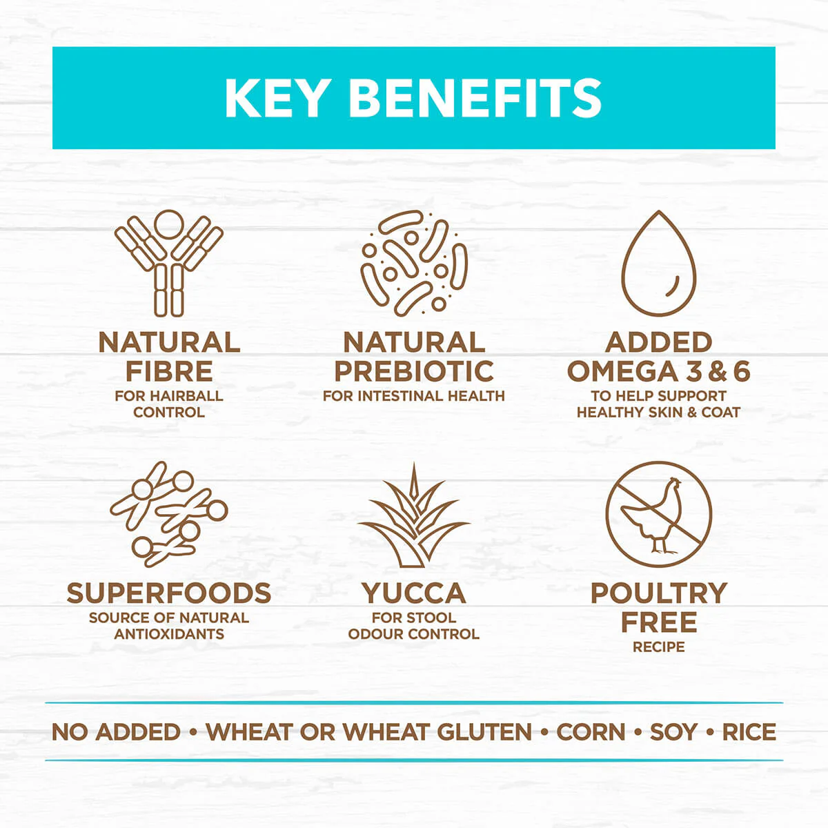 Ivory Coat Grain Free Dry Kitten Food Ocean Fish & Salmon - Image 5