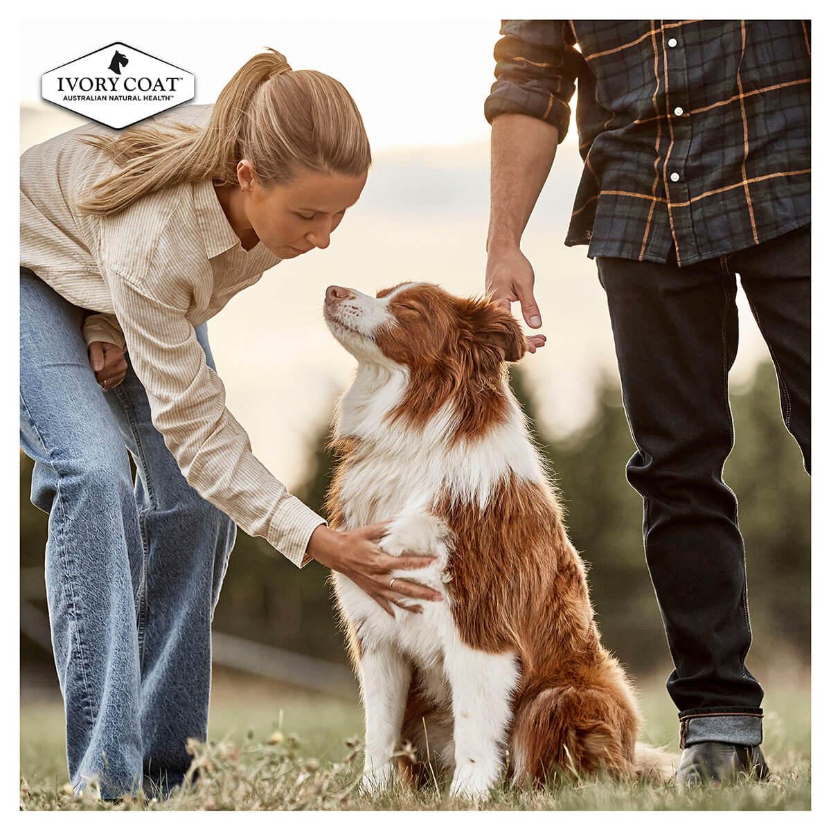 Ivory Coat Puppy Chicken Stew Grain Free Wet Dog Food - Image 9