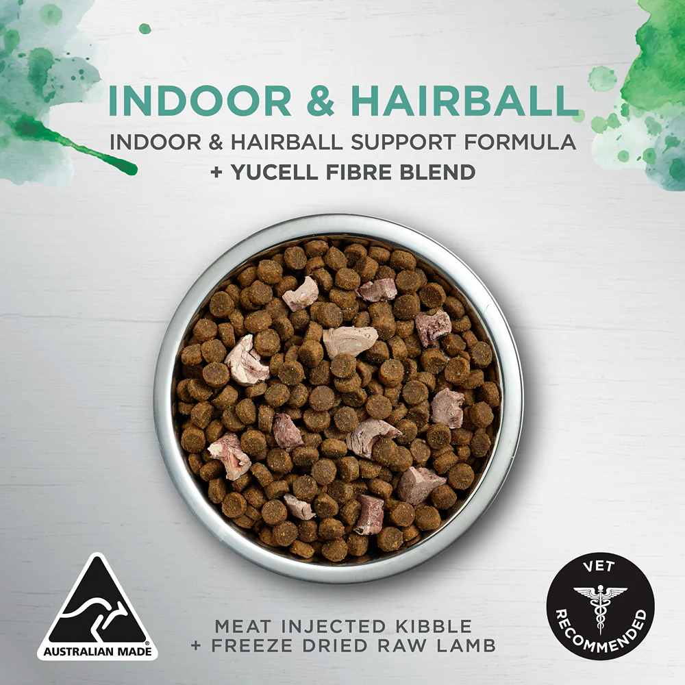 Ivory Coat Raw Health Indoor & Hairball Dry Cat Food - Image 11