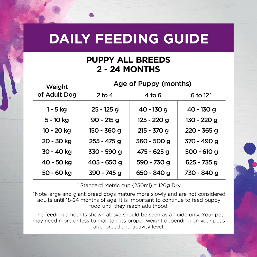 Ivory Coat Raw Health Health & Vitality Dry Dog Food - Image 23