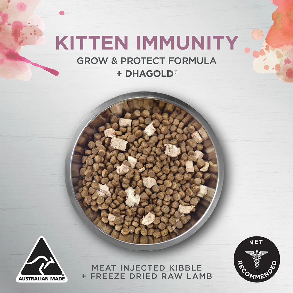 Ivory Coat Raw Health Immunity Dry Kitten Food - Image 13