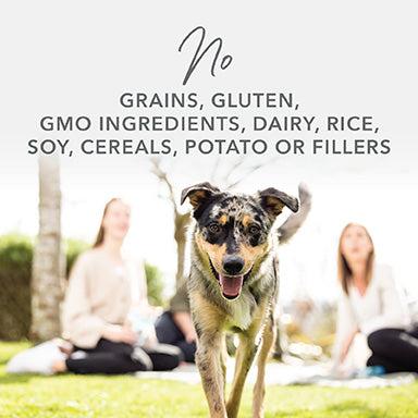 K9 Natural Lamb & Salmon Feast Wet Dog Food - Image 18