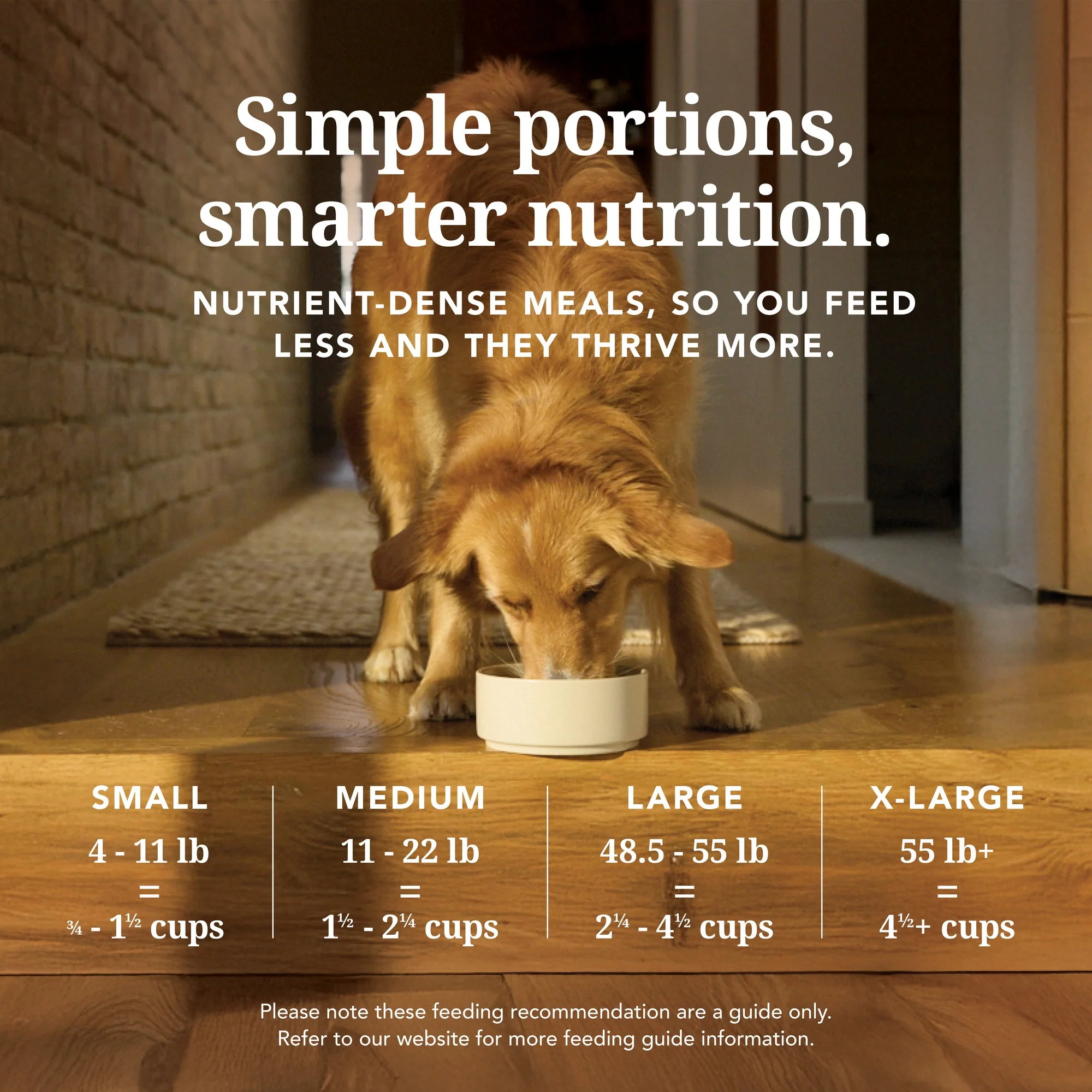 K9 Natural Freeze Dried Chicken Dry Dog Food - Image 10
