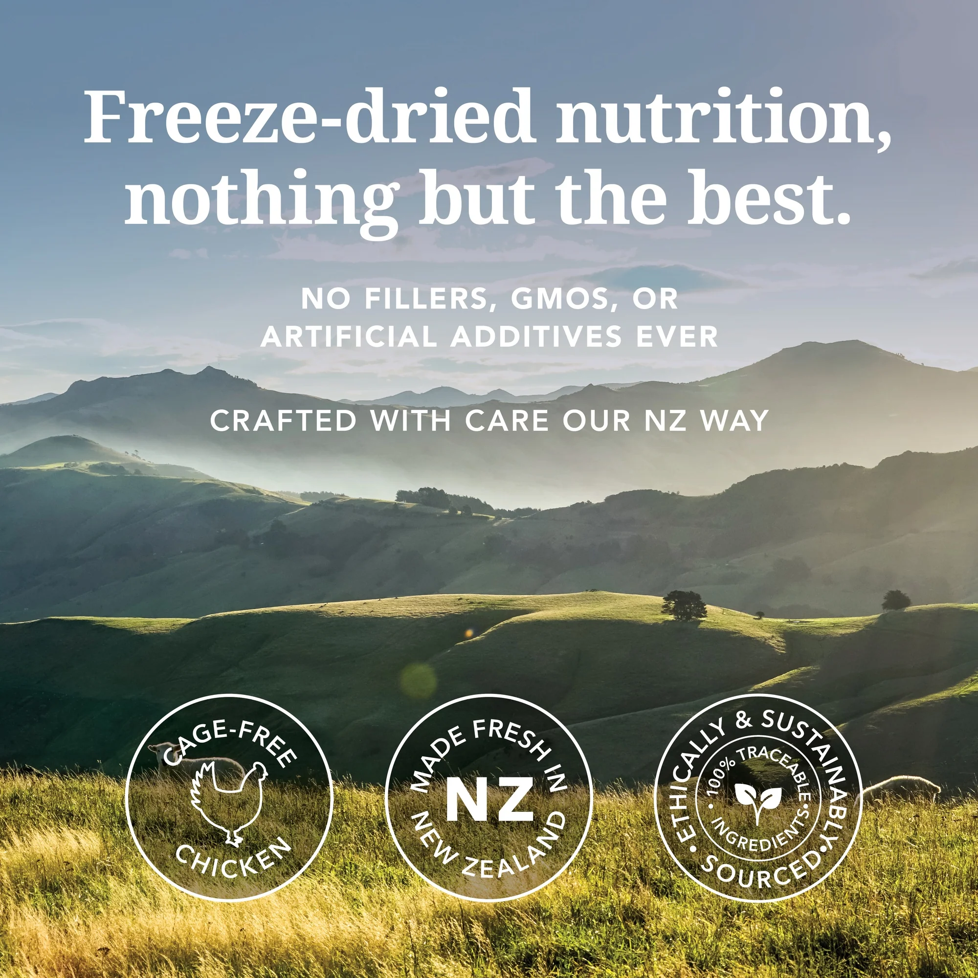 K9 Natural Freeze Dried Chicken Dry Dog Food - Image 6
