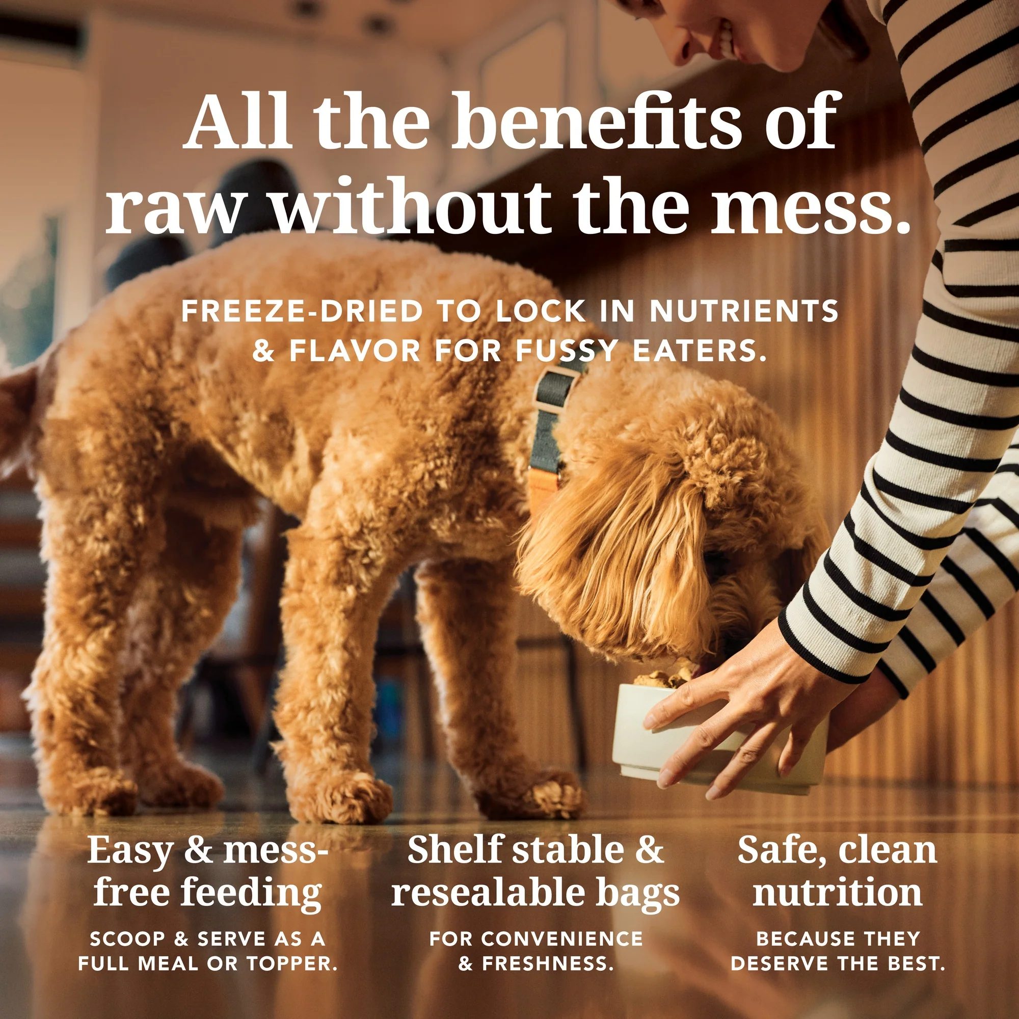 K9 Natural Freeze Dried Chicken Dry Dog Food - Image 8