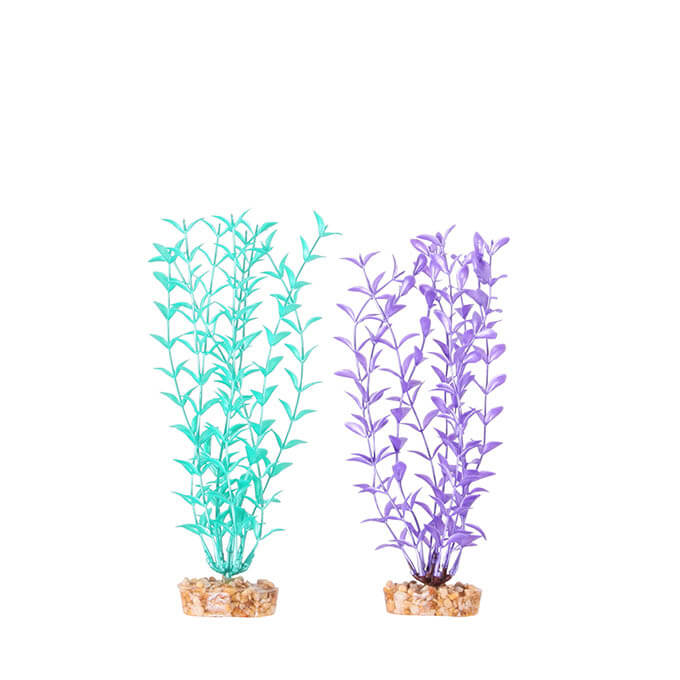 Kazoo Metallic Plastic Plant