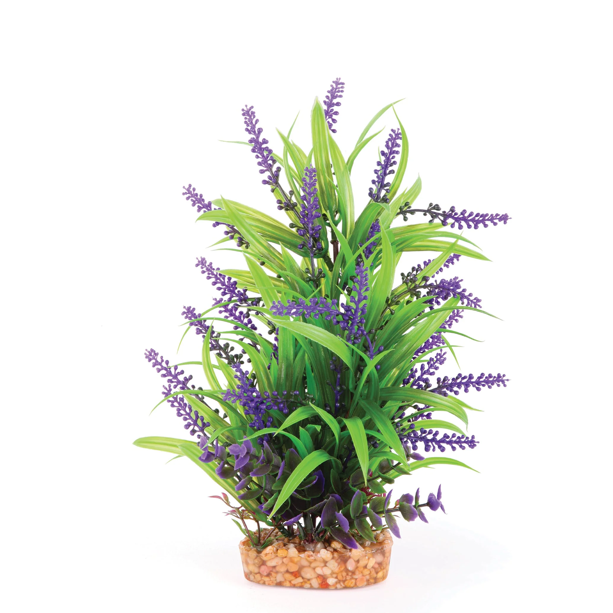 Kazoo Plant Thin Leaf with Purple Flowers - Small - Image 2