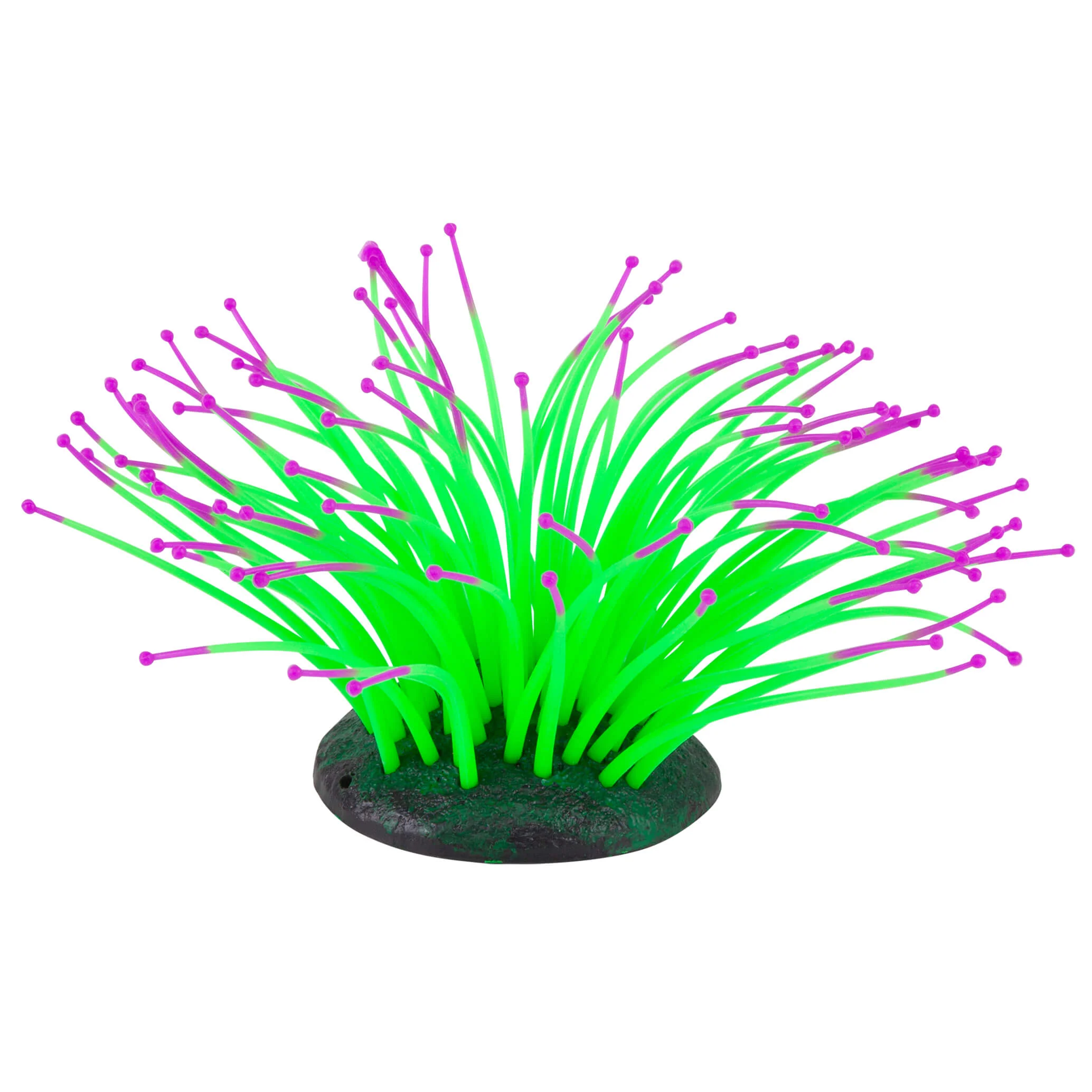 Kazoo Silicone Sea Anemone - Image 6
