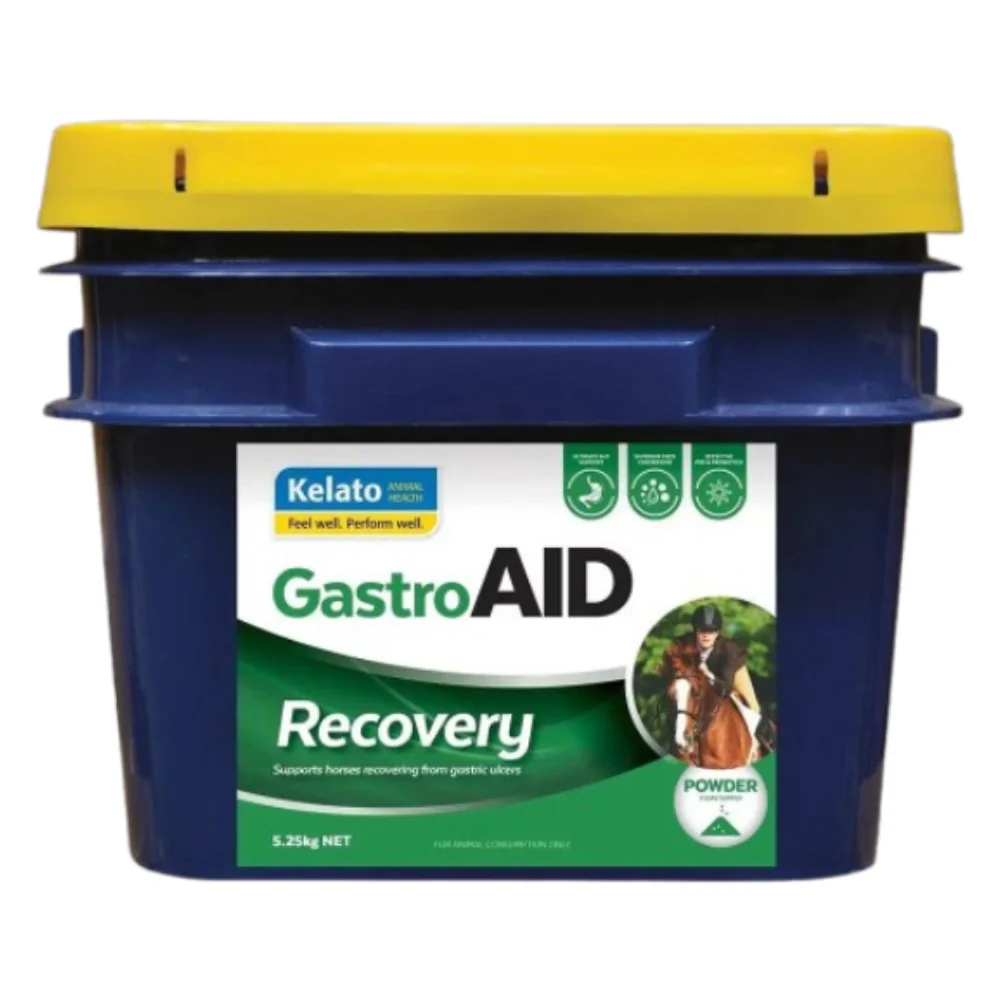 Kelato Gastroaid Recovery - Image 3