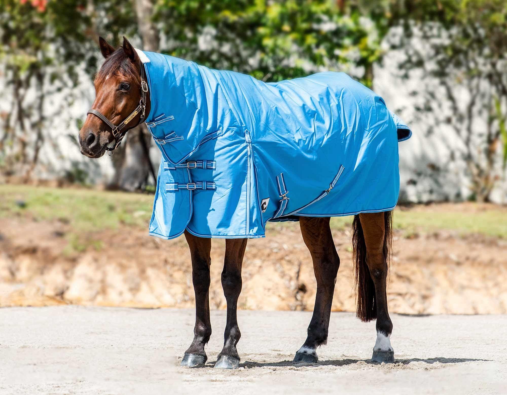 Kingsley 600D Rainsheet Combo Horse Rug - Image 4