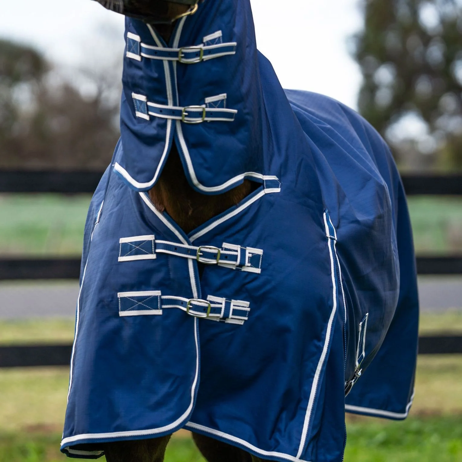 Kingsley Combo Horse Rug 180g Navy - Image 23