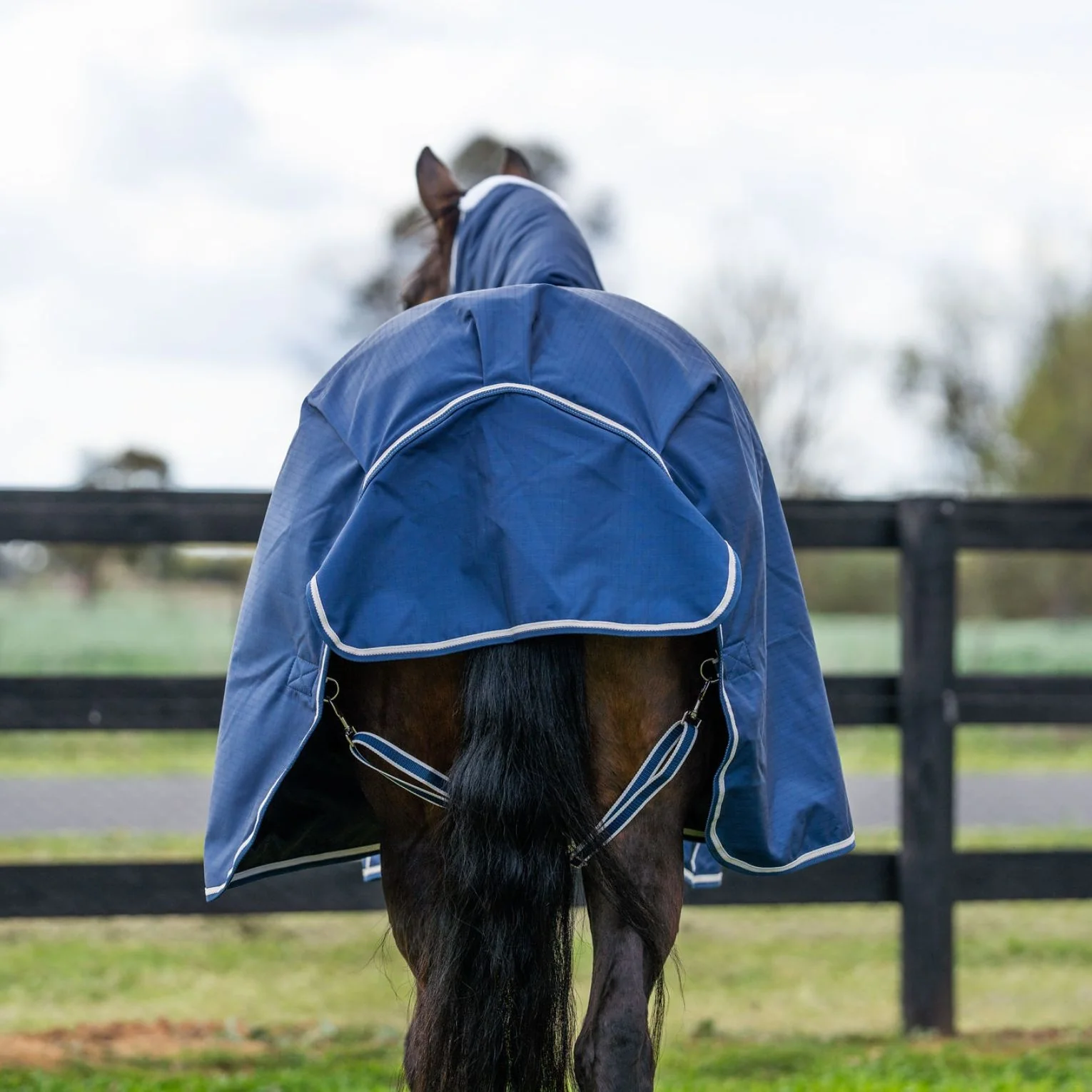 Kingsley Combo Horse Rug 180g Navy - Image 35