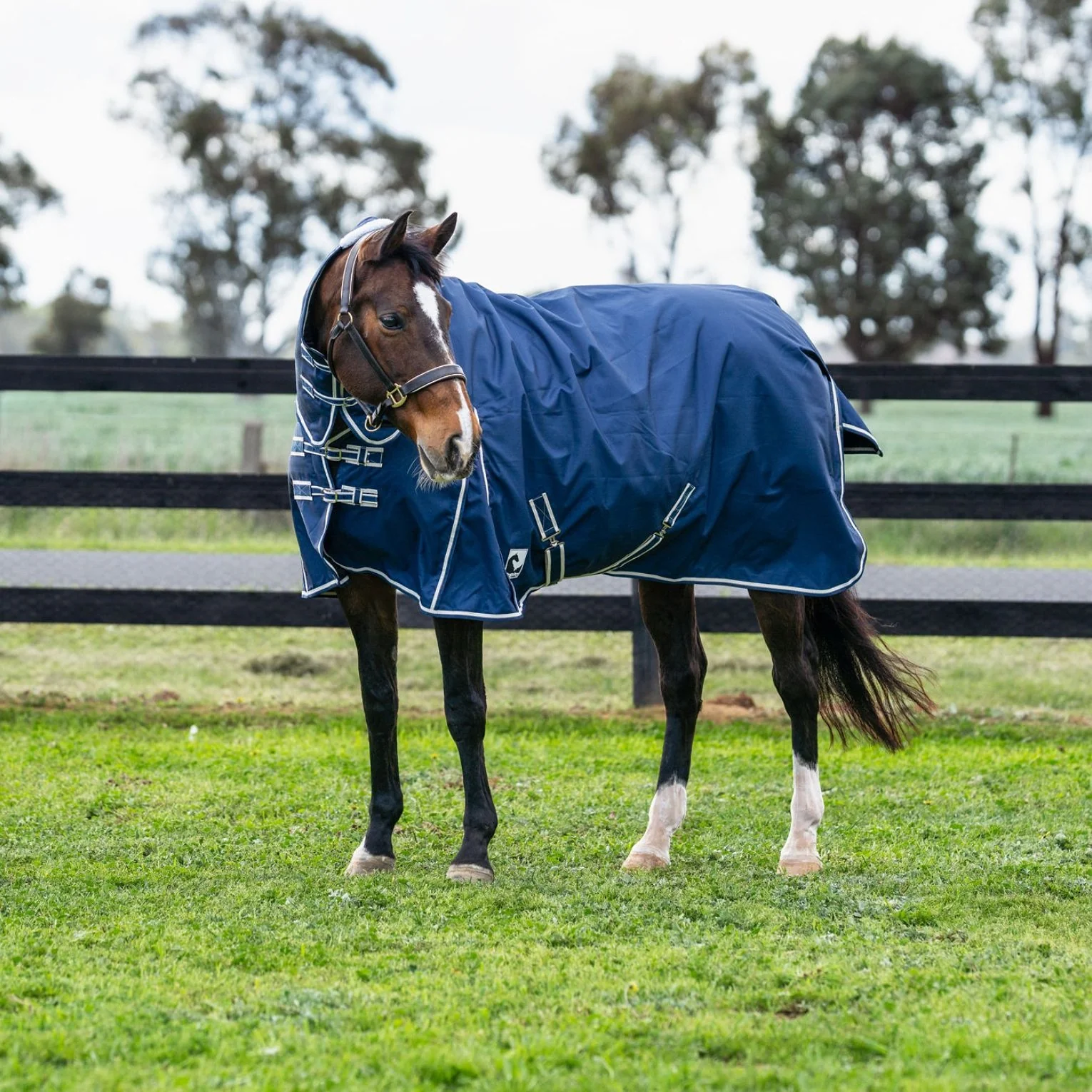 Kingsley Combo Horse Rug 180g Navy - Image 43