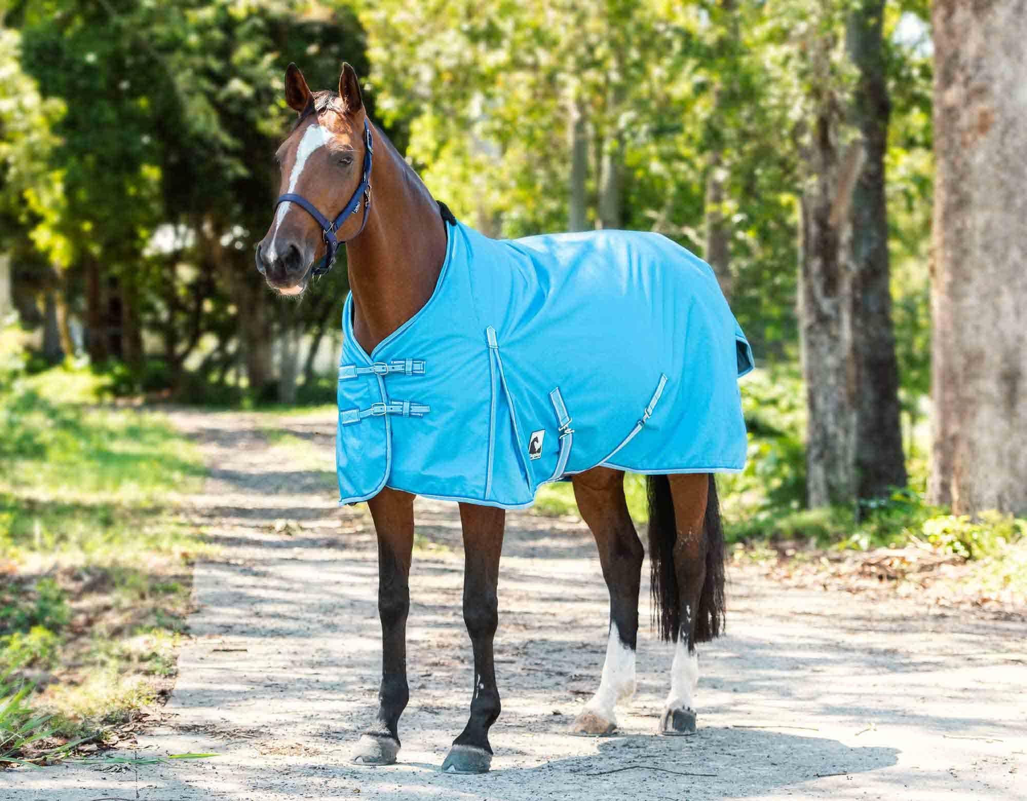 Kingsley 180g Mid Rug - Image 28
