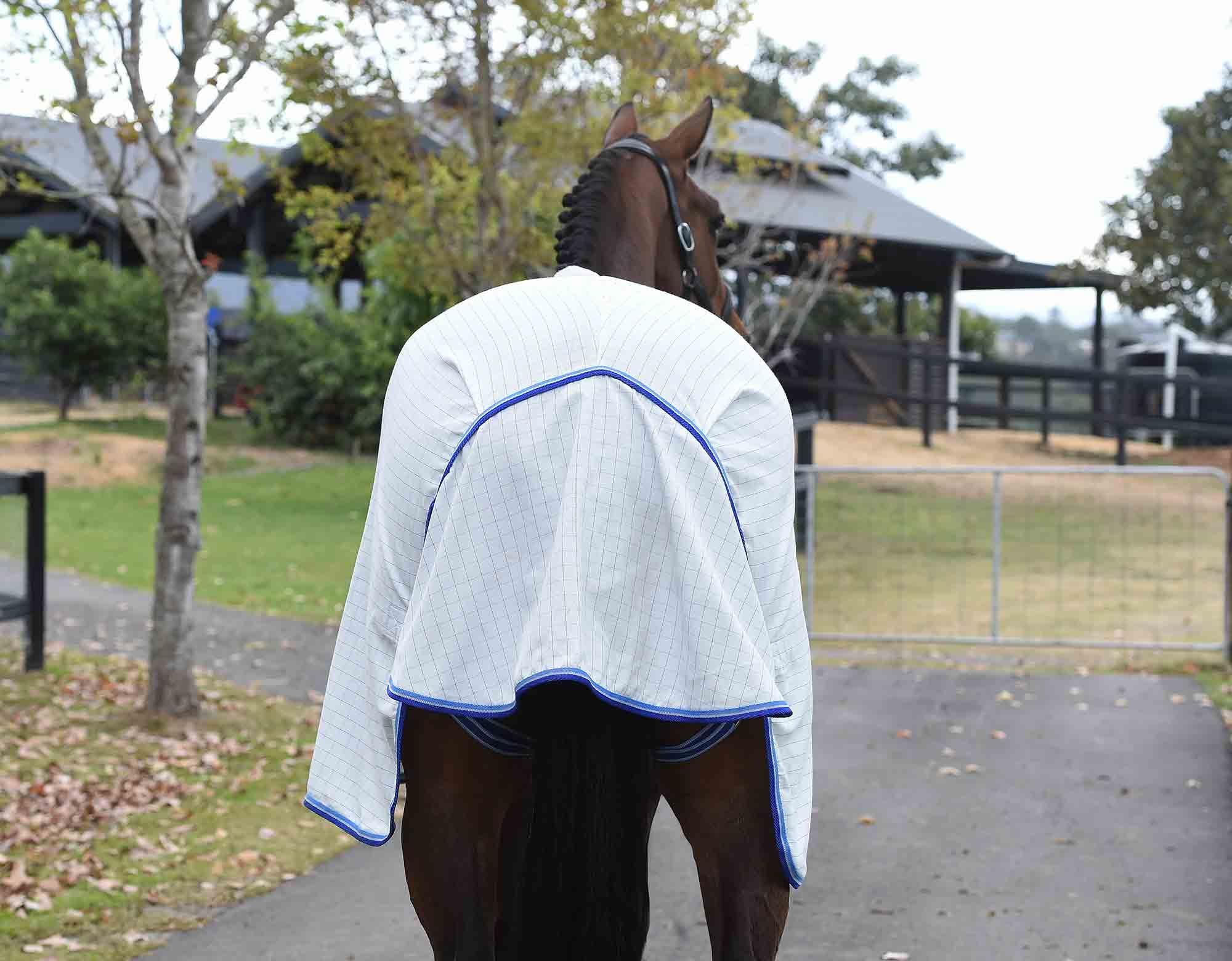 Kingsley Ripstop Horse Rug - Image 20