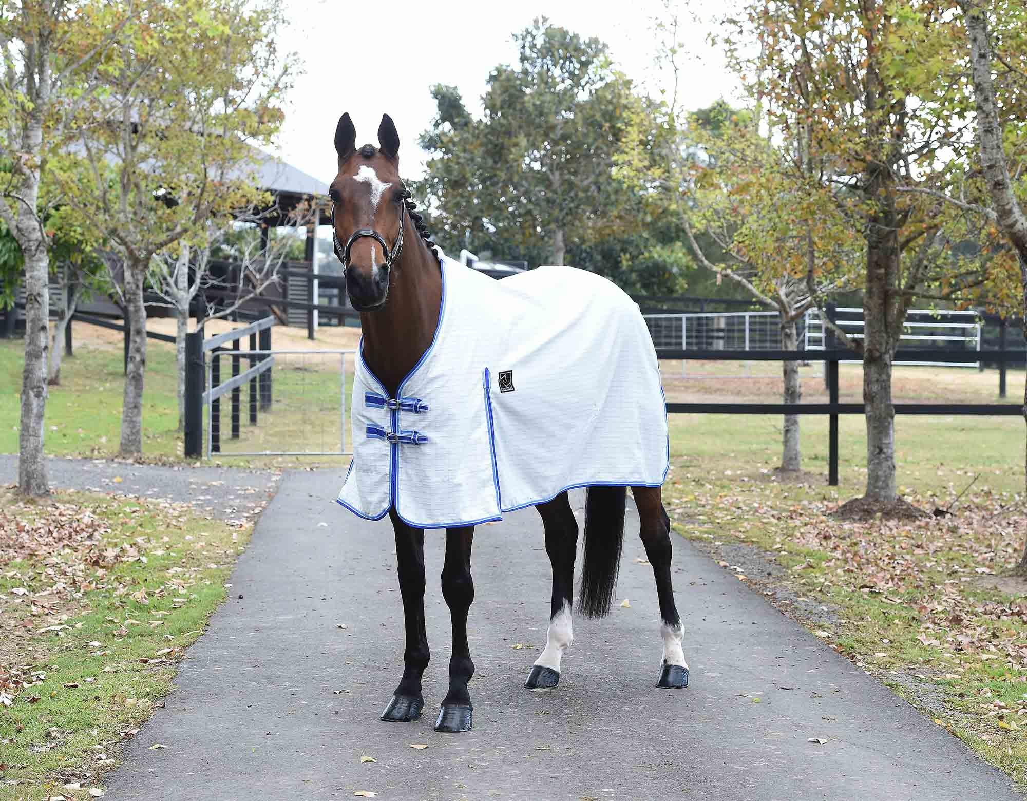 Kingsley Ripstop Horse Rug - Image 4