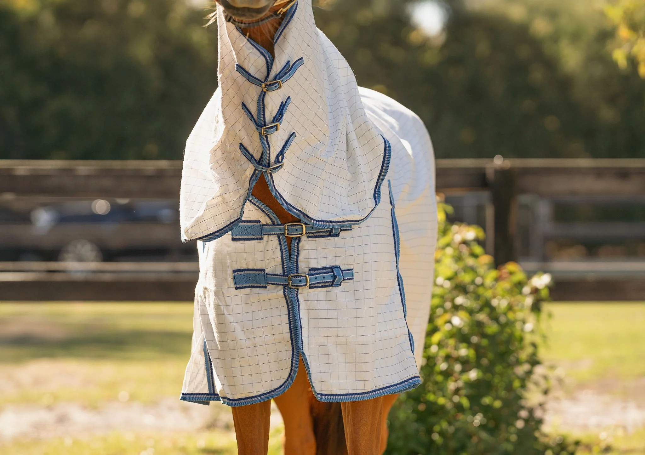 Kingsley Ripstop Neck Combo - Image 19