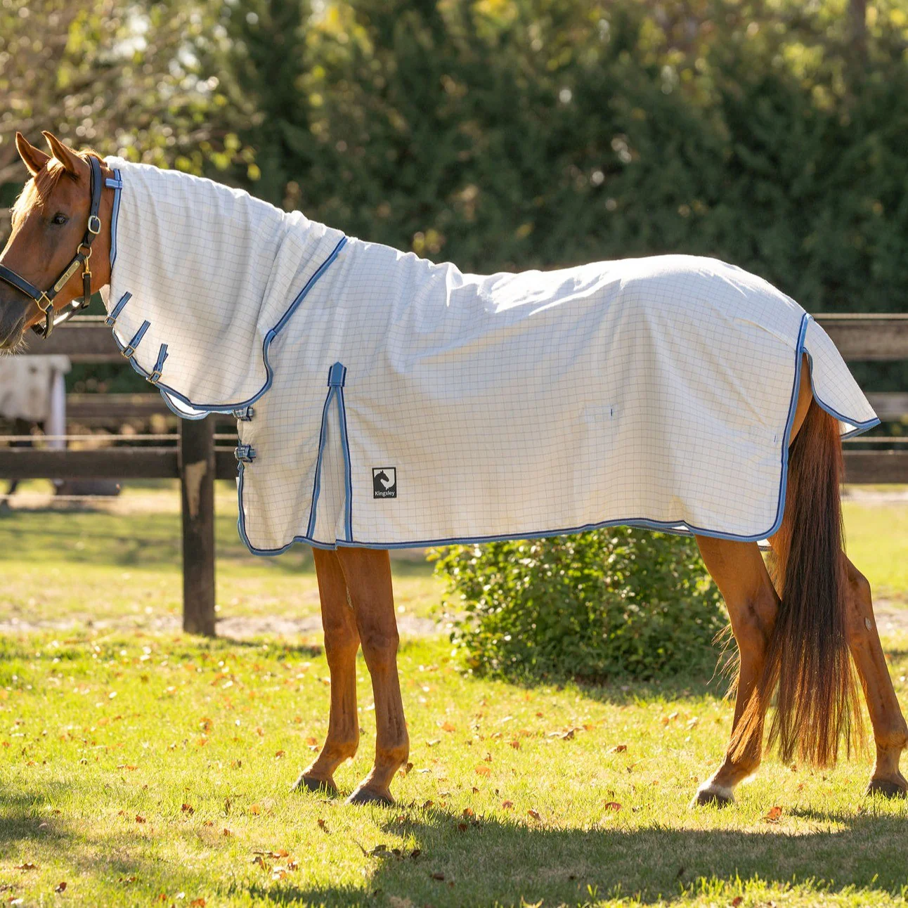 Kingsley Ripstop Neck Combo - Image 2