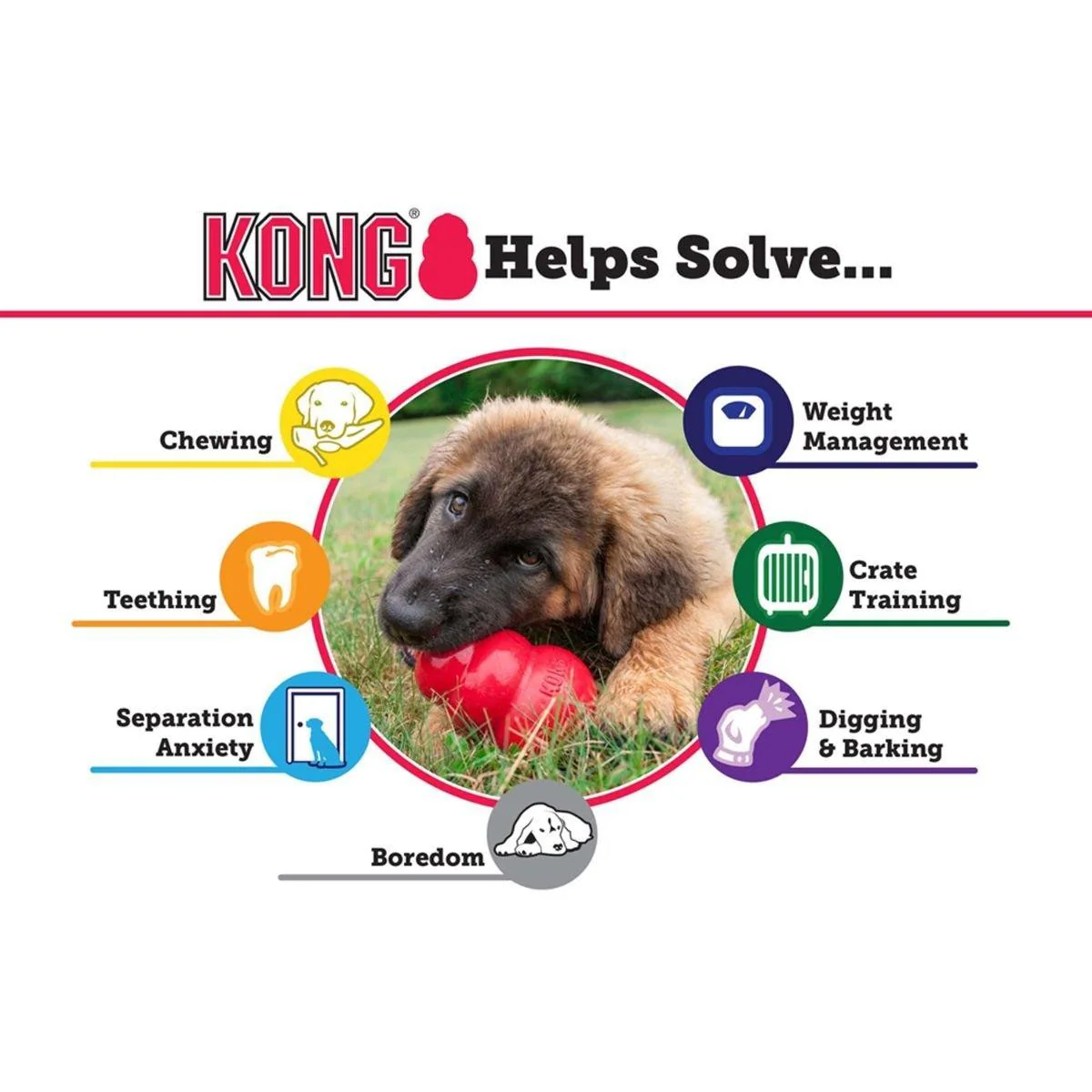 KONG Classic Puppy Treat Dispensing Dog Toy - Image 15
