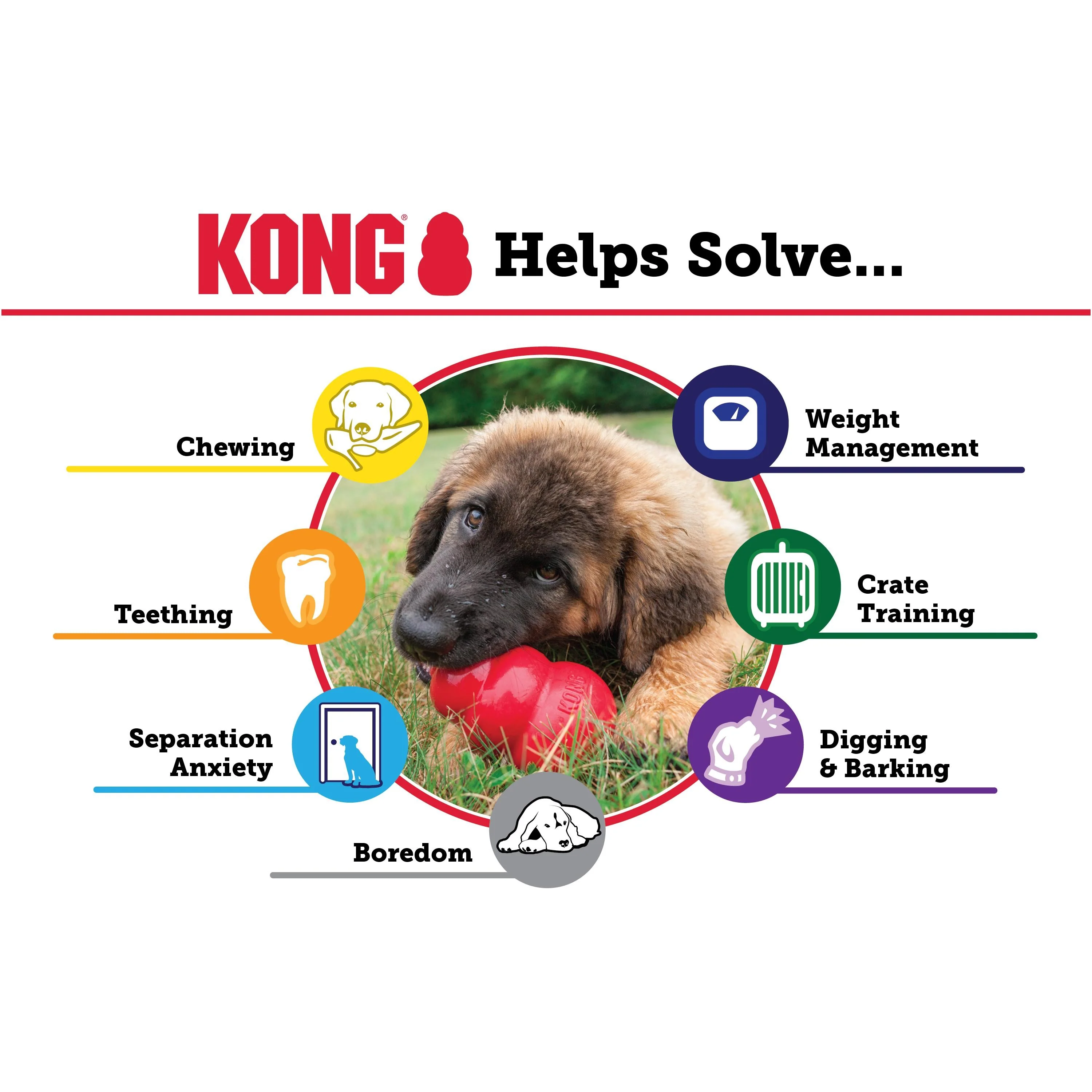 KONG Classic Treat Dispensing Dog Toy - Image 10