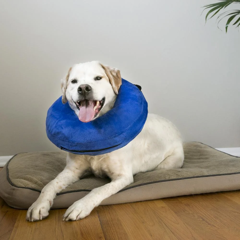 KONG Cloud Injury Collar - Image 13