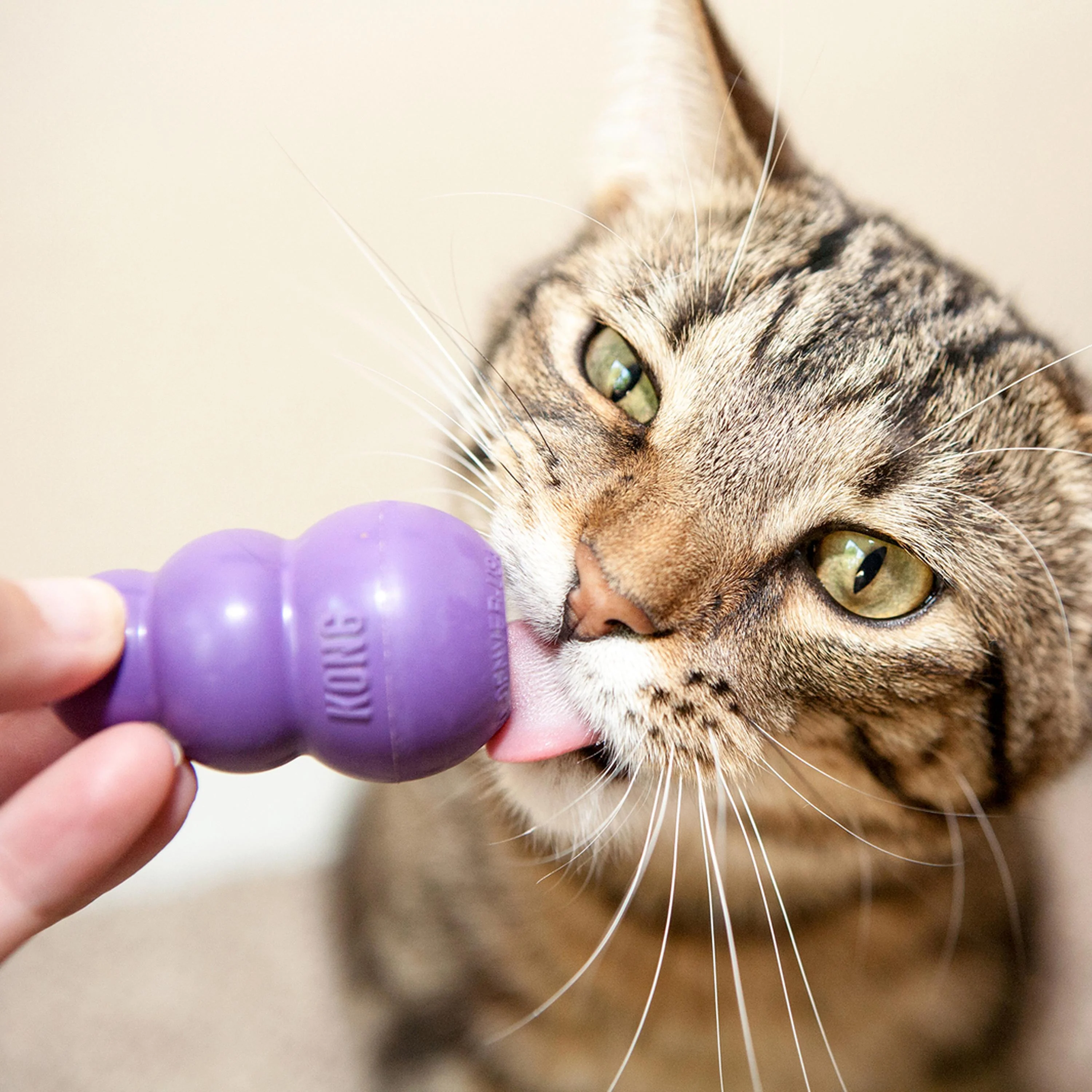 KONG Kitty Cat Toy - Image 3