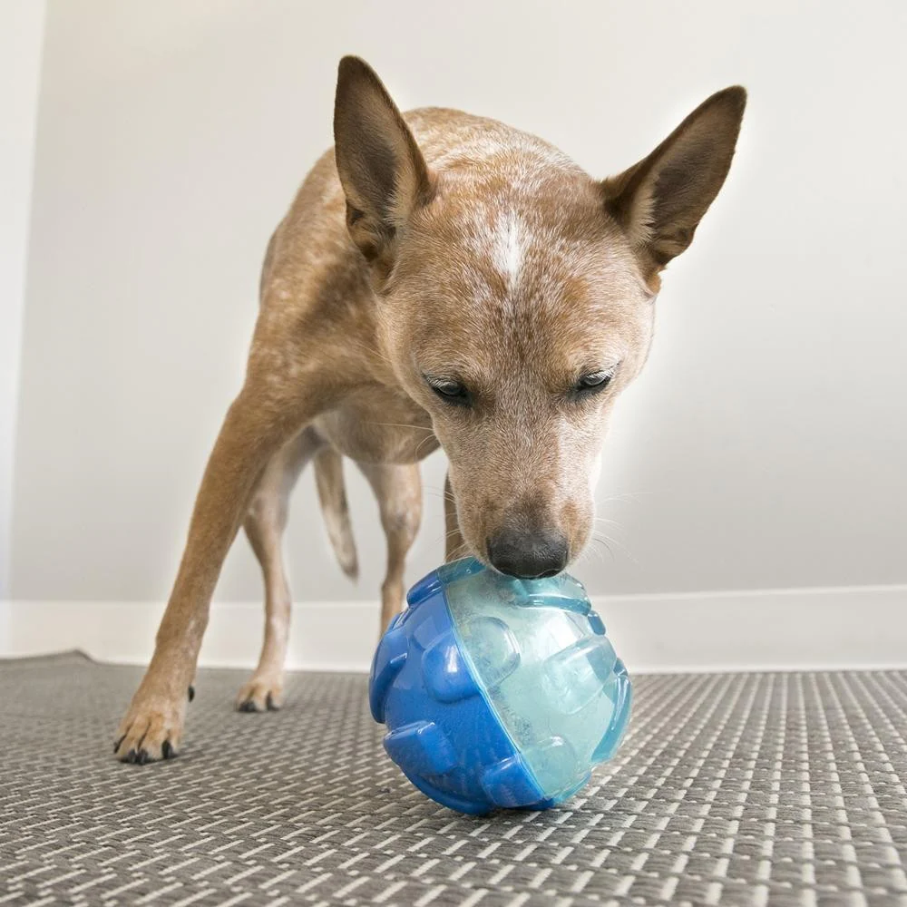 Kong Rewards Ball Dog Toy - Image 8