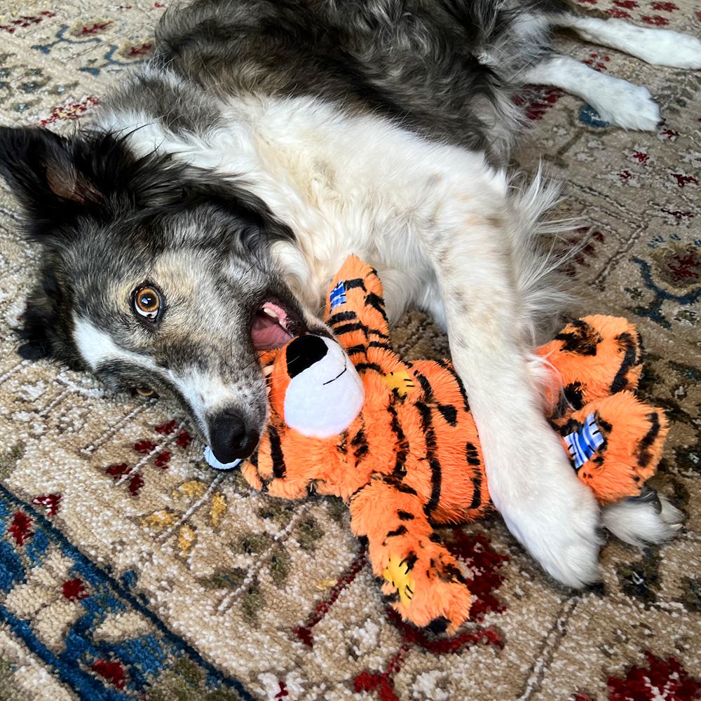 Kong Wild Knots Tiger - Image 17