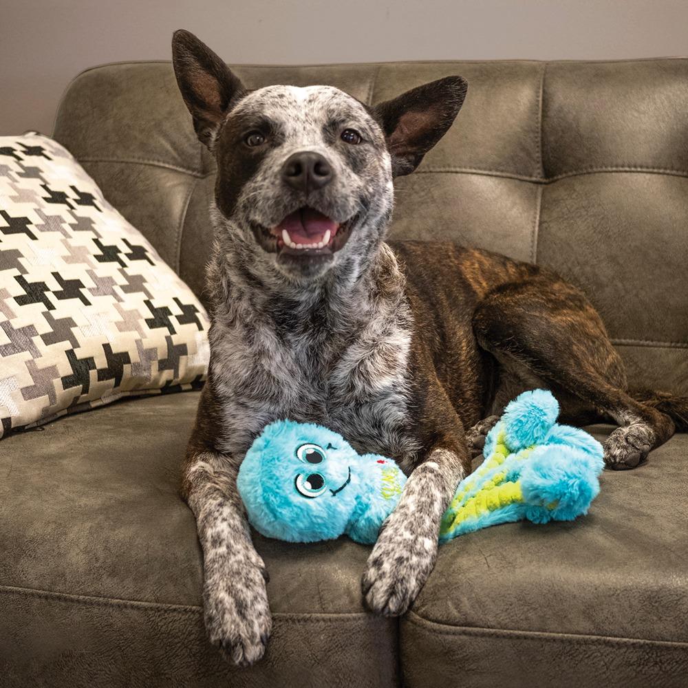 Kong Wubba Octopus Dog Toy - Image 19