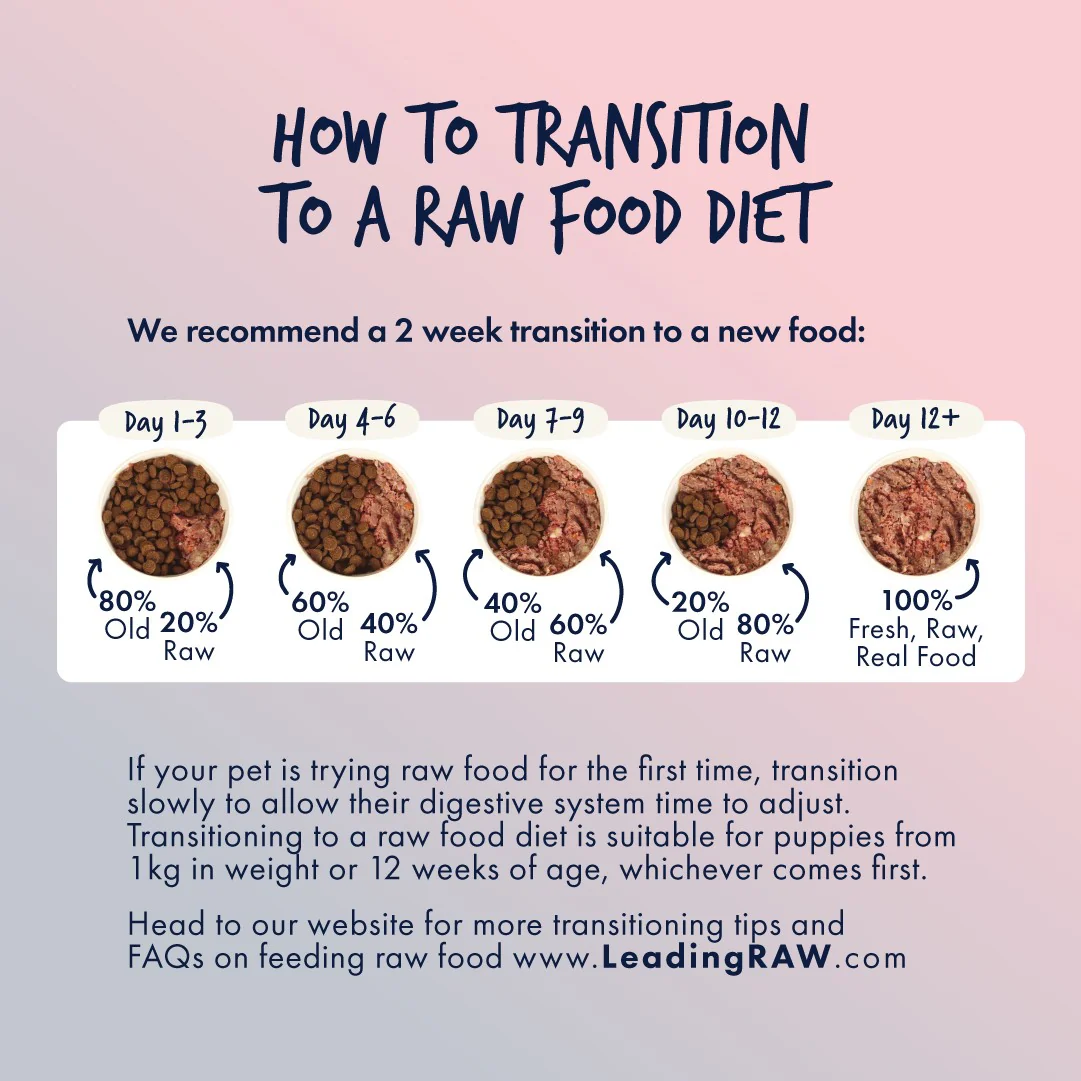 Leading Raw BARF Energy Life Stage Diet Frozen Dog Food - Image 10