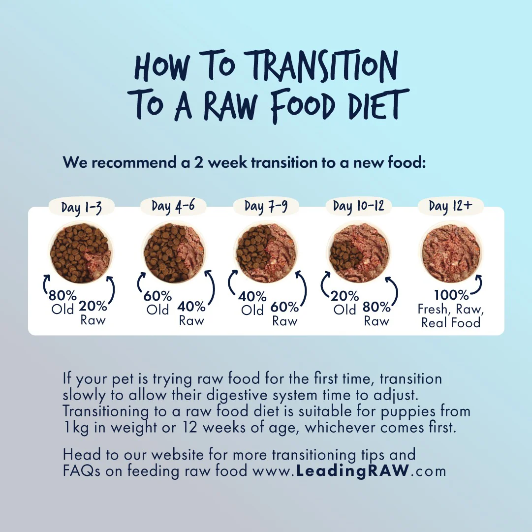 Leading Raw BARF Puppy Life Stage Diet Frozen Dog Food - Image 10