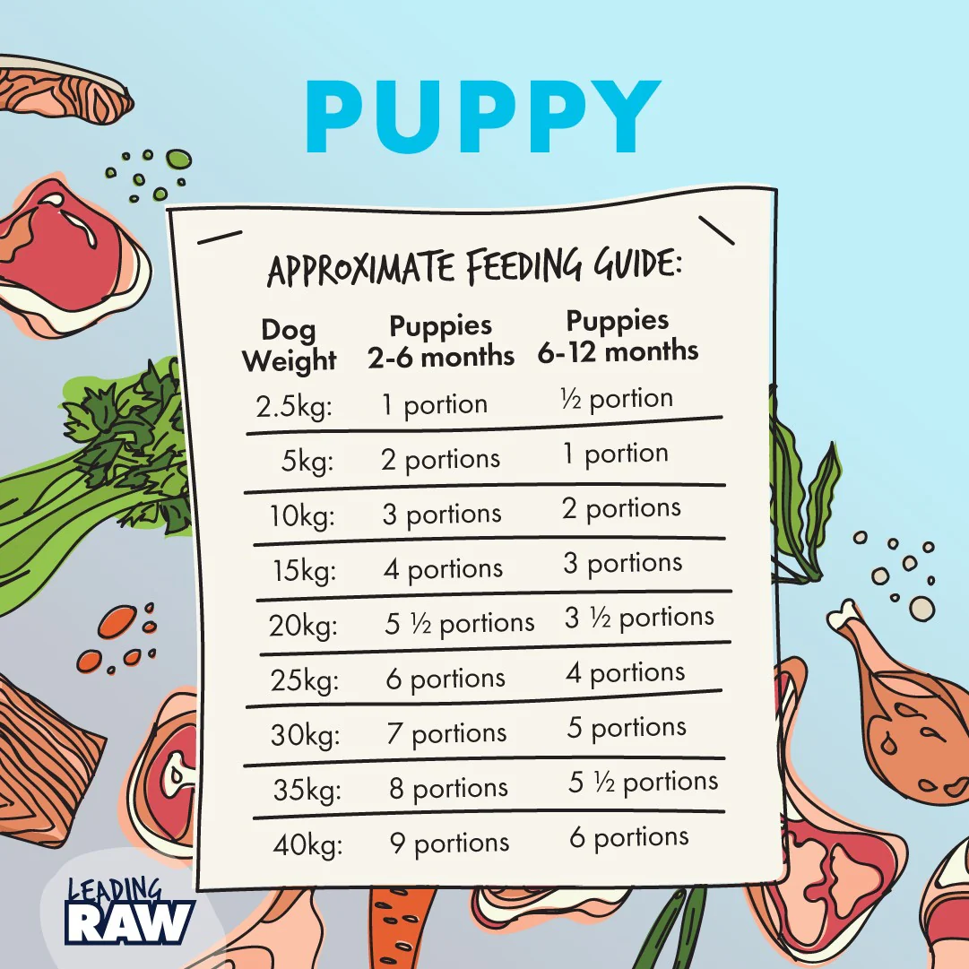 Leading Raw BARF Puppy Life Stage Diet Frozen Dog Food - Image 8