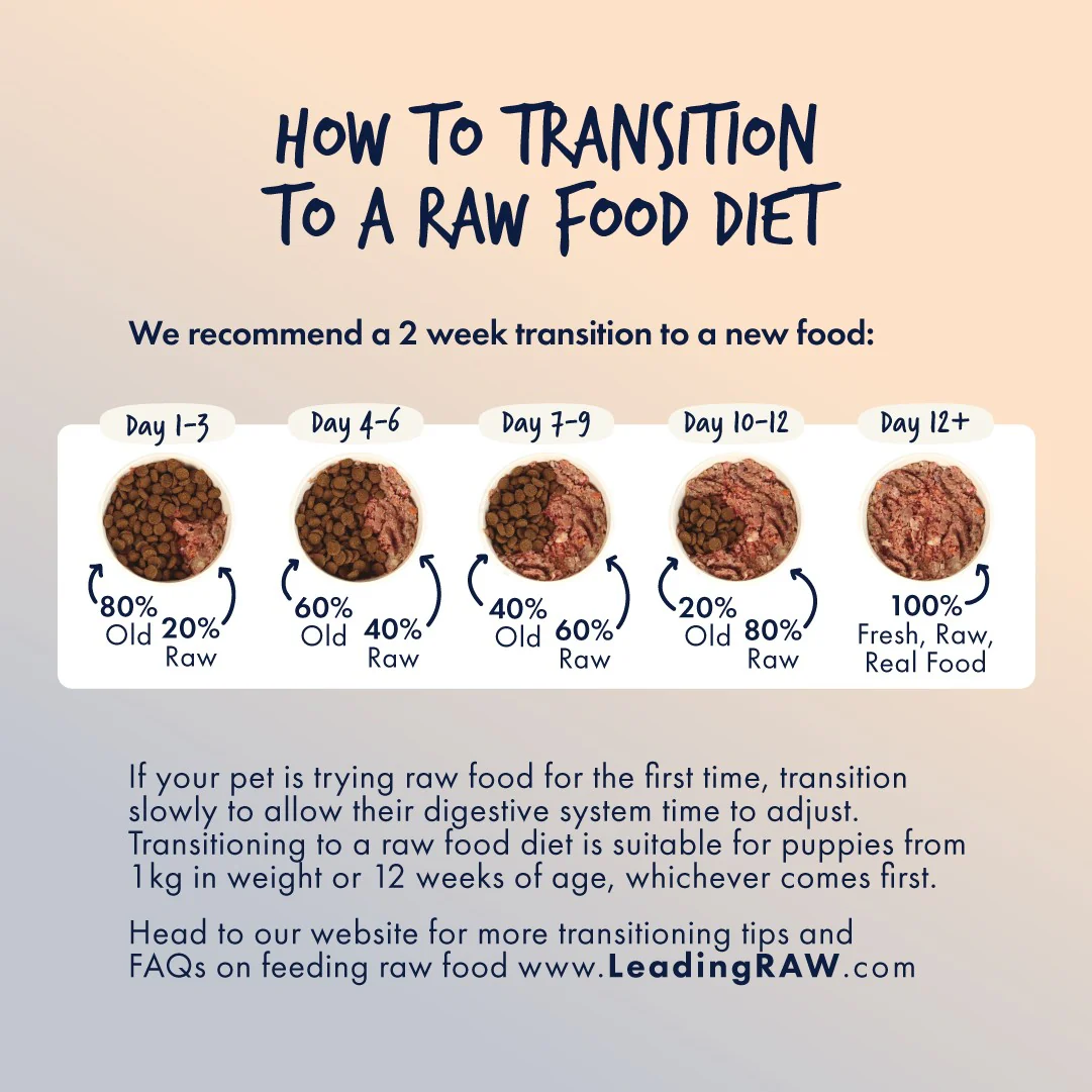 Leading Raw BARF Life Stage Diet Senior Frozen Dog Food - Image 10