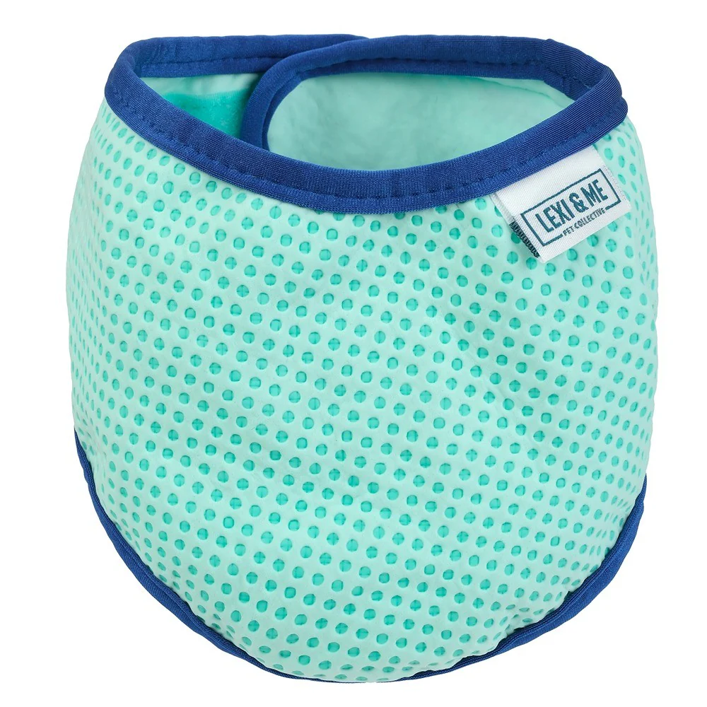Lexi & Me Blue & Mint Cooling Bandana