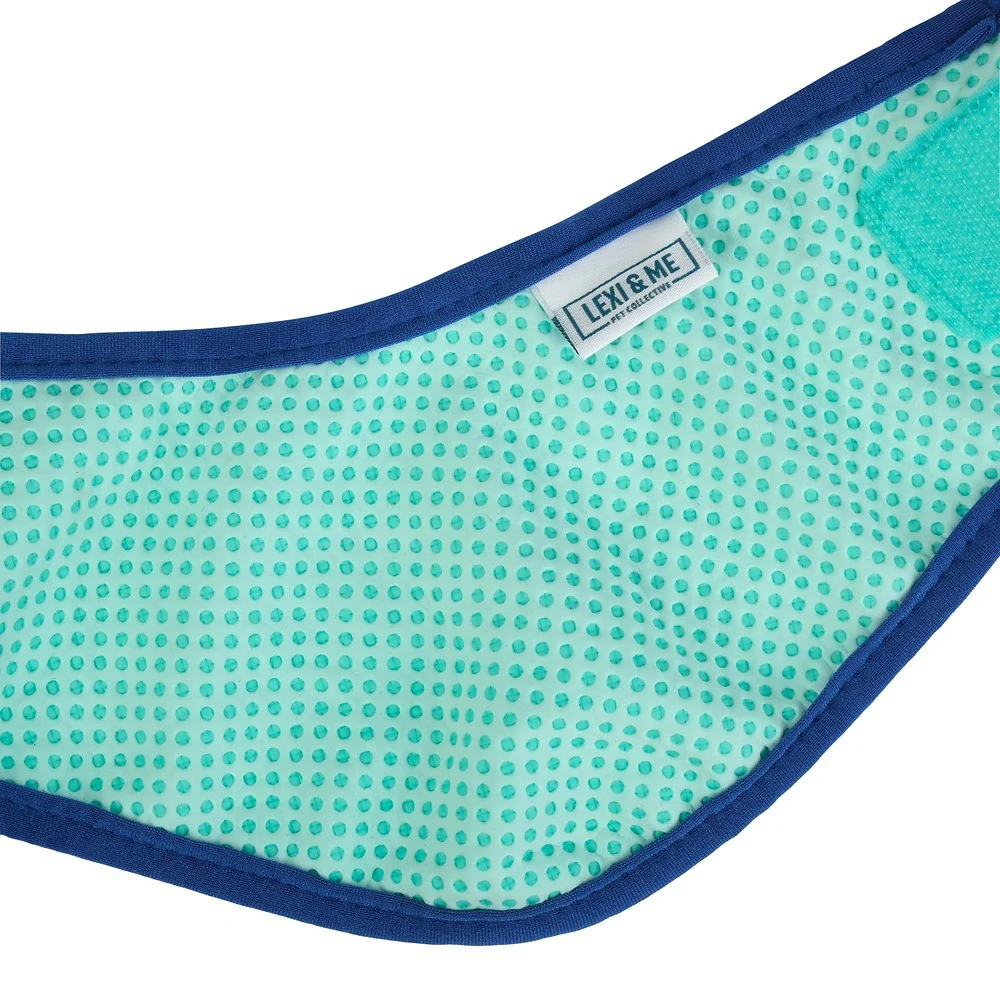 Lexi & Me Blue & Mint Cooling Bandana - Image 5