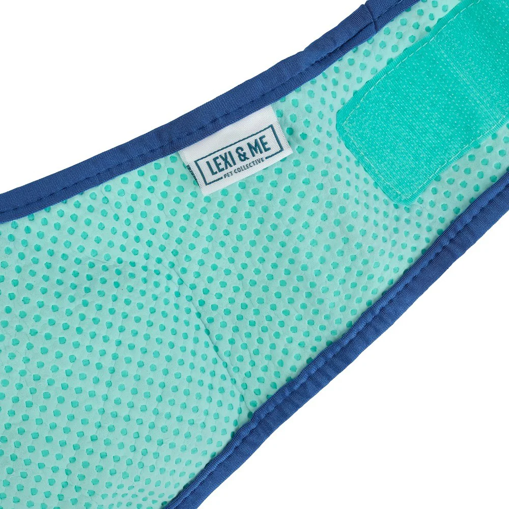 Lexi & Me Blue & Mint Cooling Bandana - Image 6