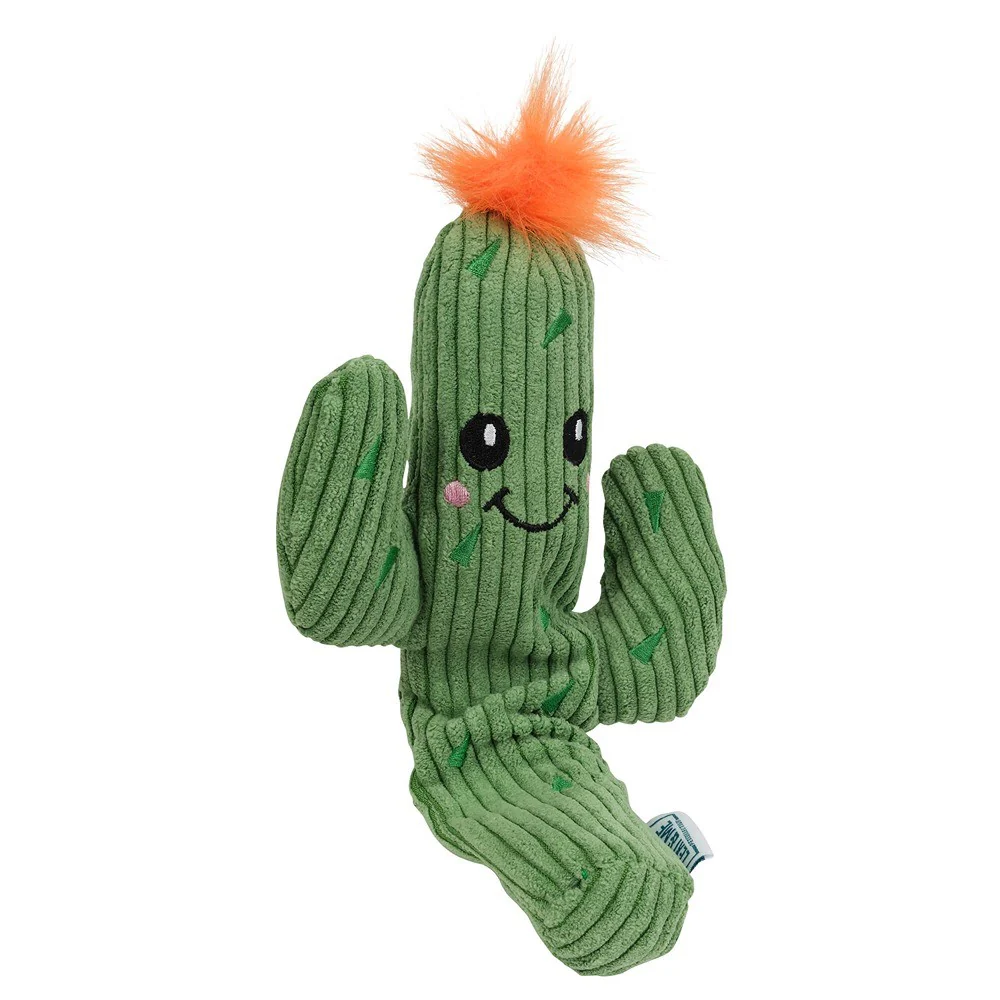 Lexi & Me Cactus Plush Crackle Dog Toy - Image 4