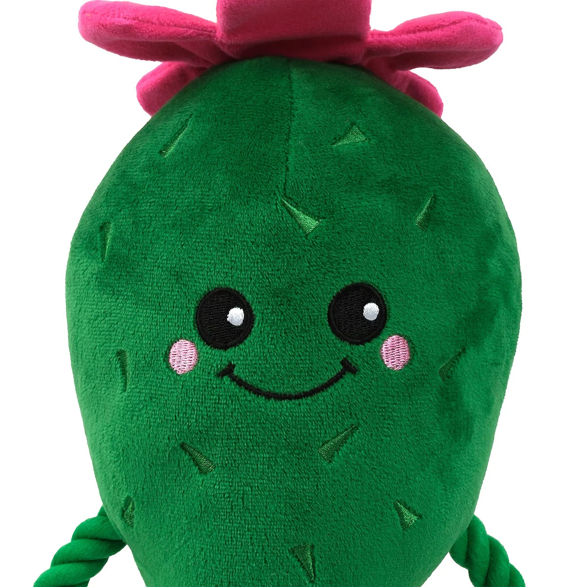 Lexi & Me Cactus Plush & Rope Dog Toy - Image 5