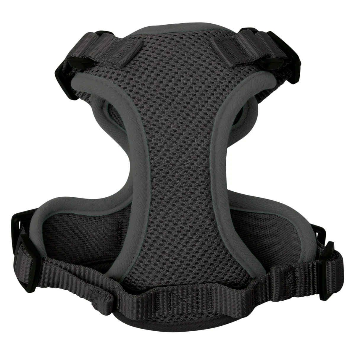 Lexi & Me Cat Harness & Lead Set - Image 4