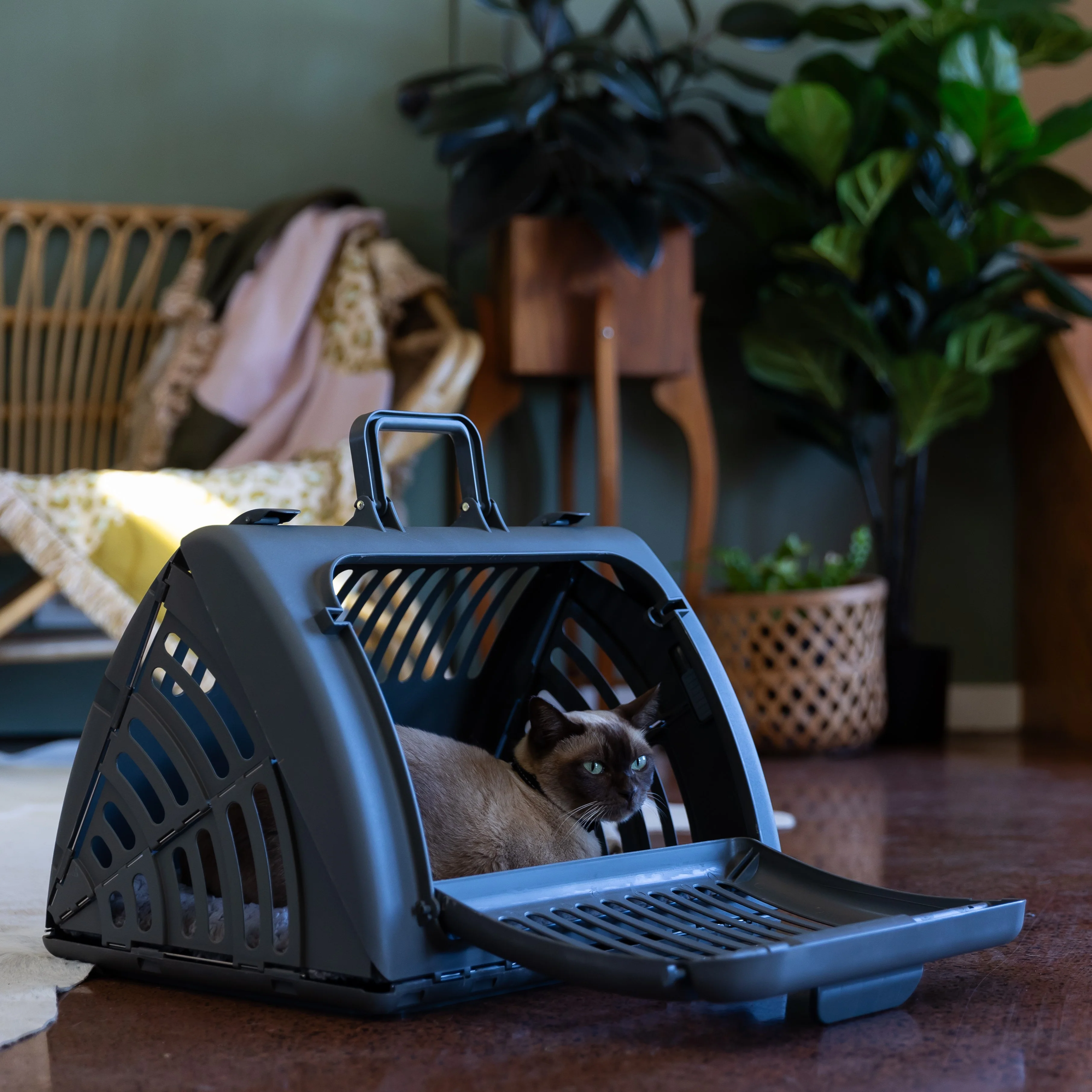 Lexi & Me Collapsible Cat Carrier with Mat Charcoal - Image 3