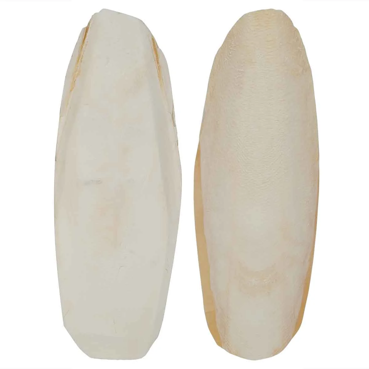 Lexi & Me Cuttlebone 2 Pack - Image 3